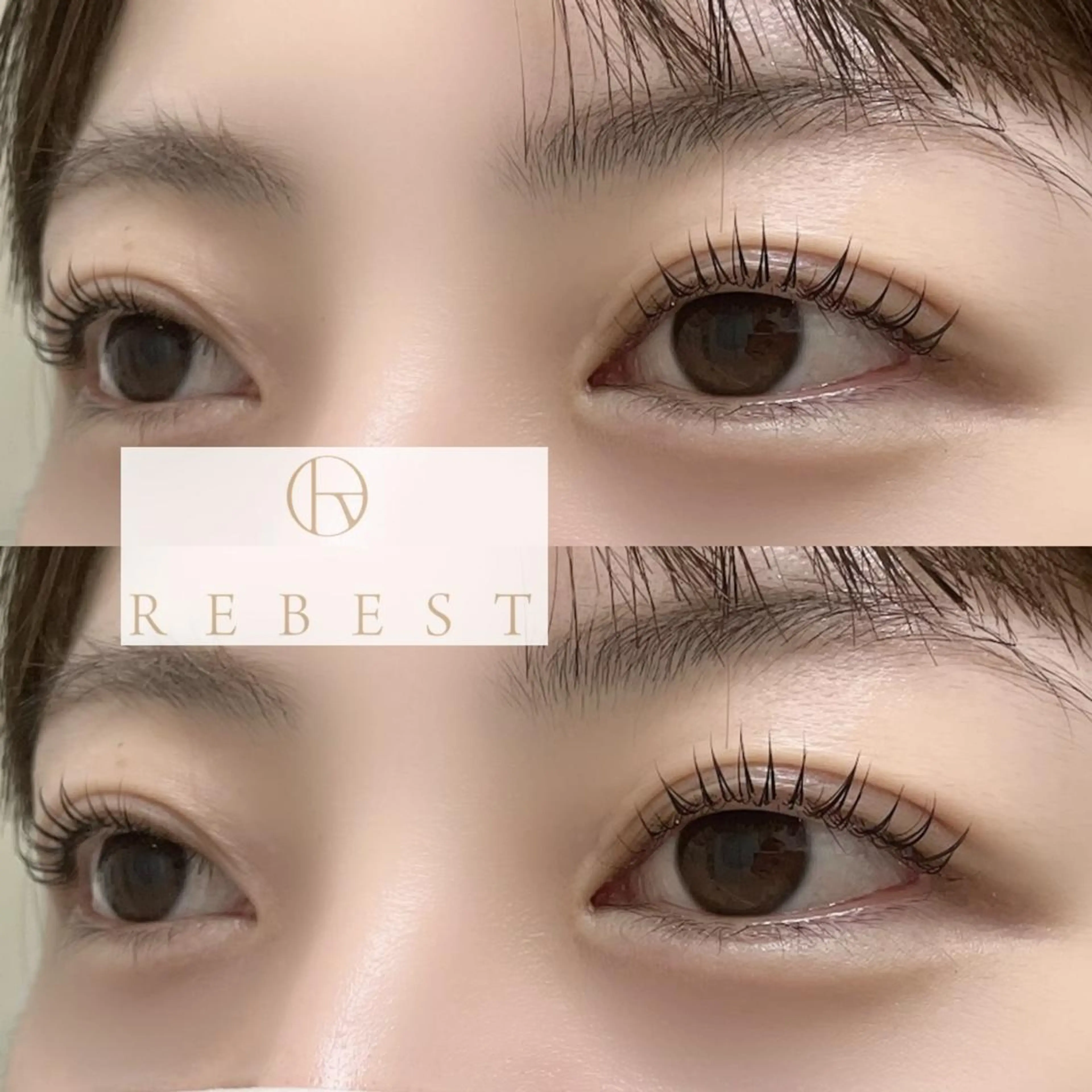 12月限定🖤まつ毛ティント&まつ毛パーマの写真