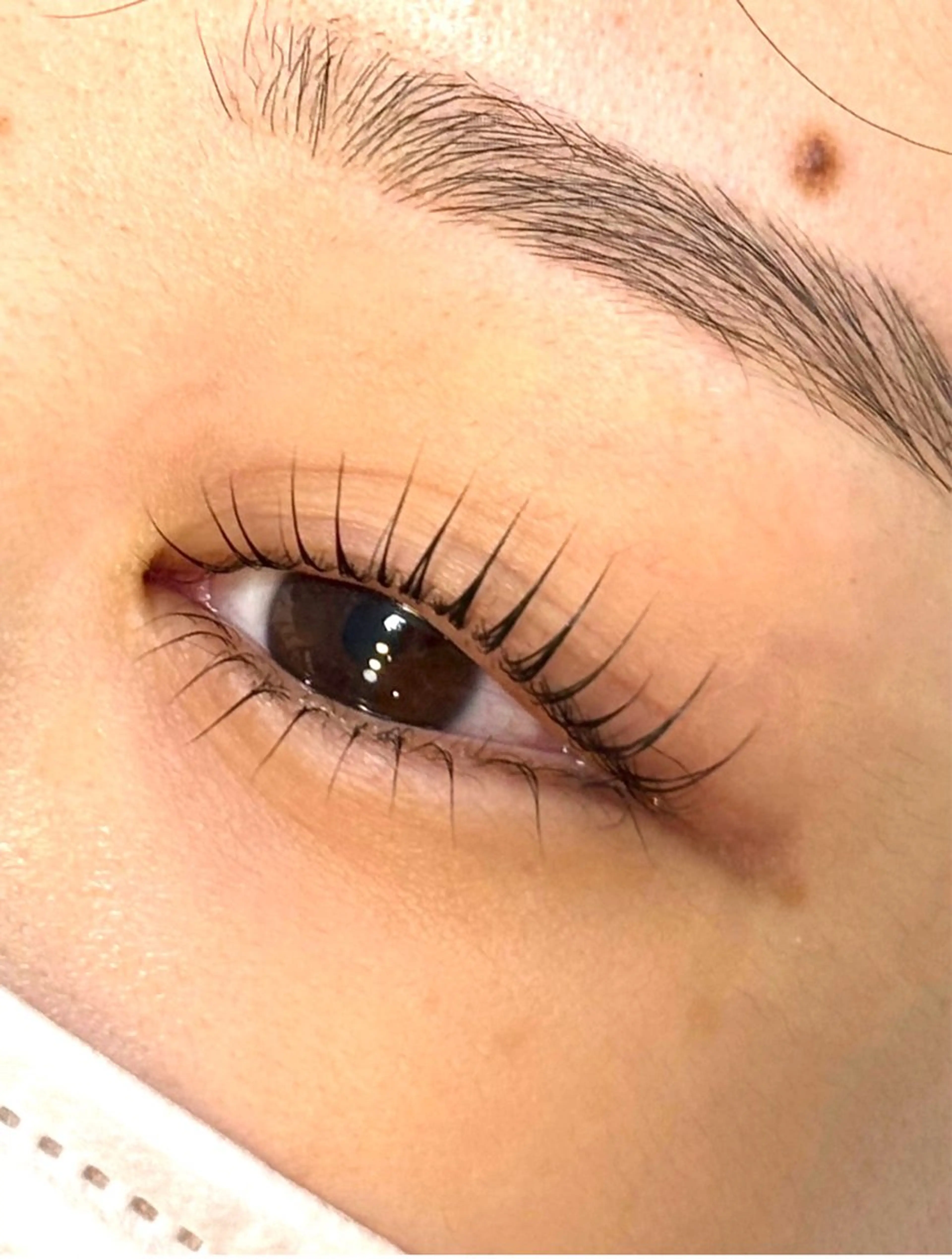 上下まつげパーマの写真