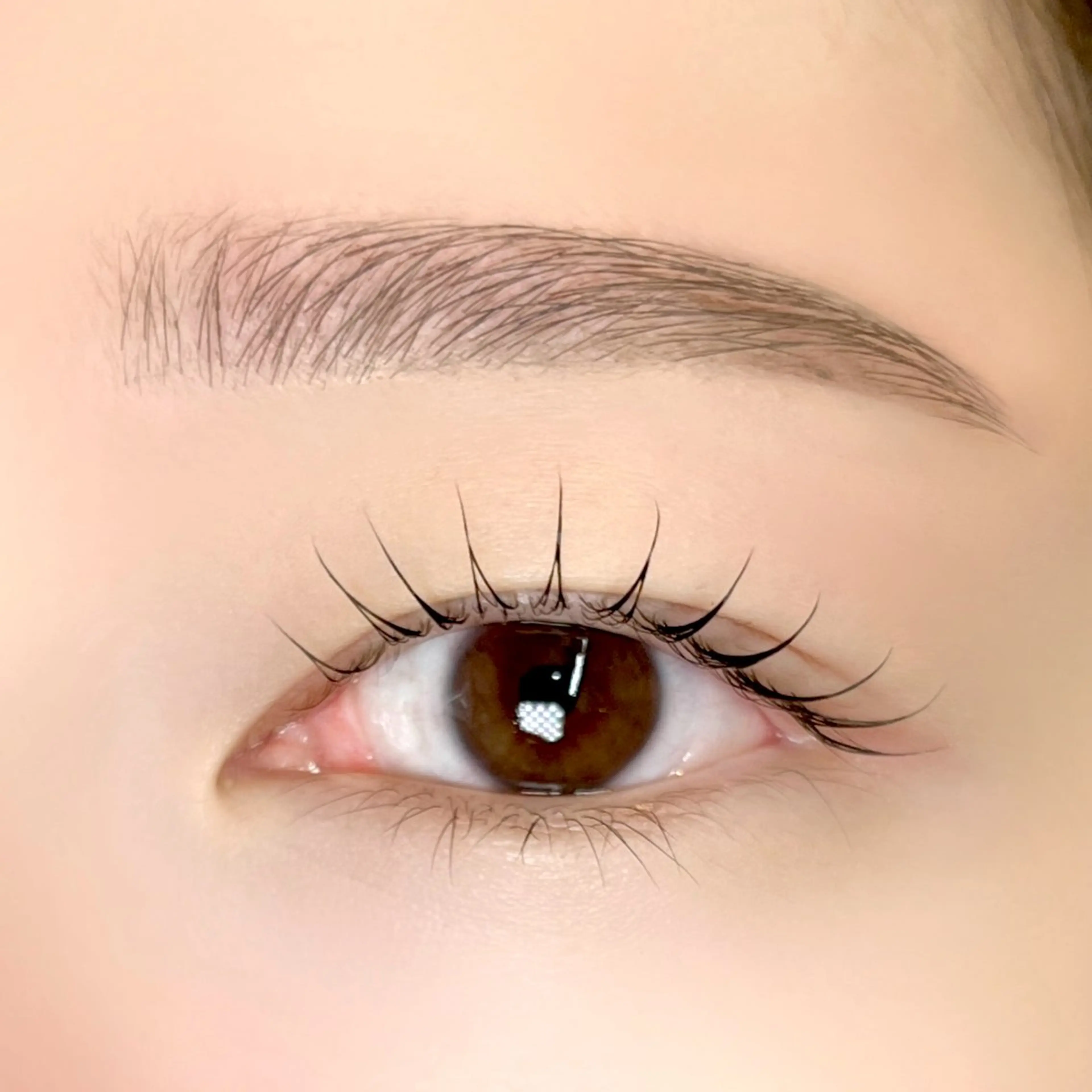 ラッシュリフト(上)＆アイブロウwaxスタイリング🎀の写真