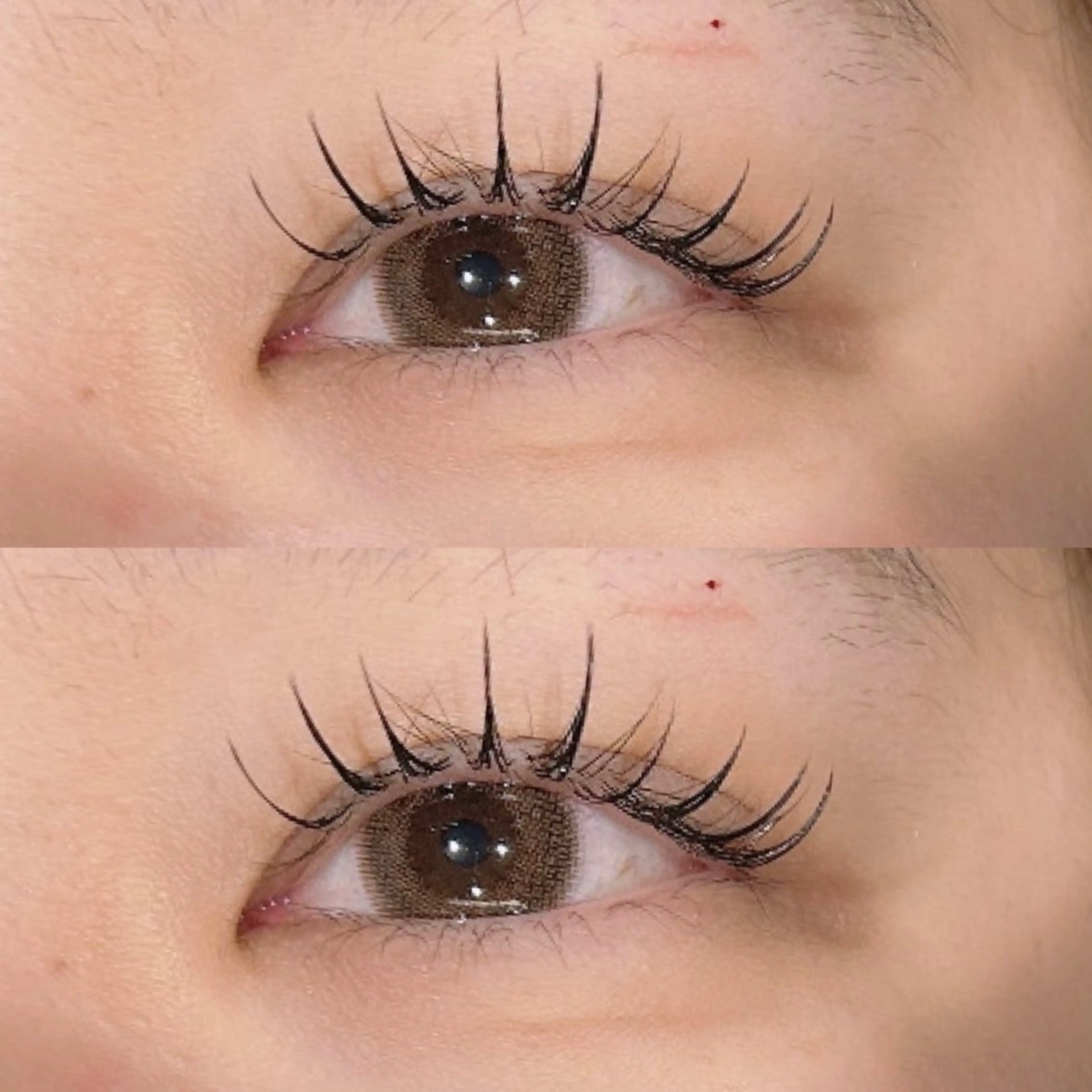 マツエク・マツパ マツエク hair&eye🎀 /momoKaのヘアスタイル