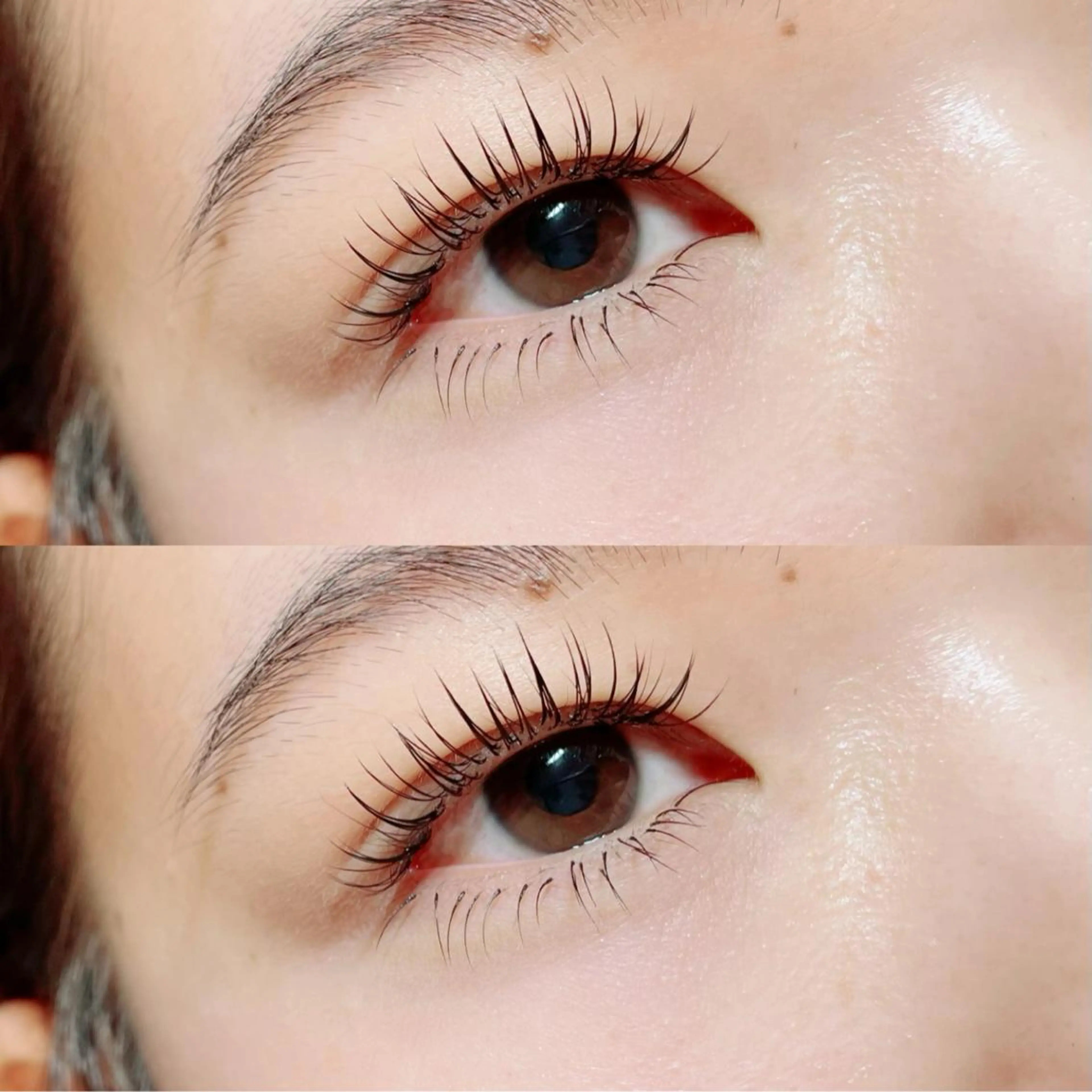 マツエク・マツパ フラットラッシュ デイジーラッシュ 大阪駅前第3ビルのマツエク・マツパデザイン