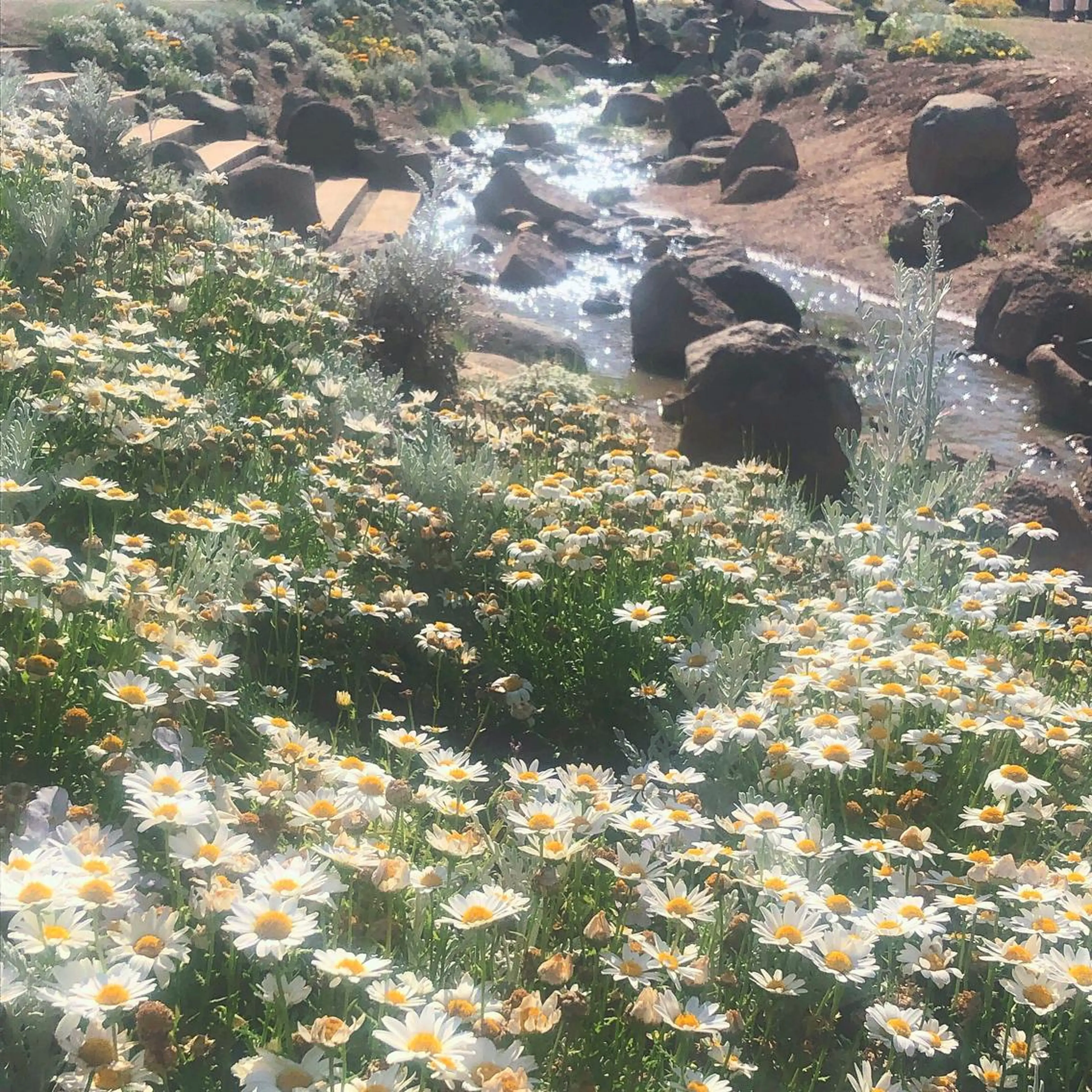 マツエク・マツパ . mikuのマツエク・マツパデザイン