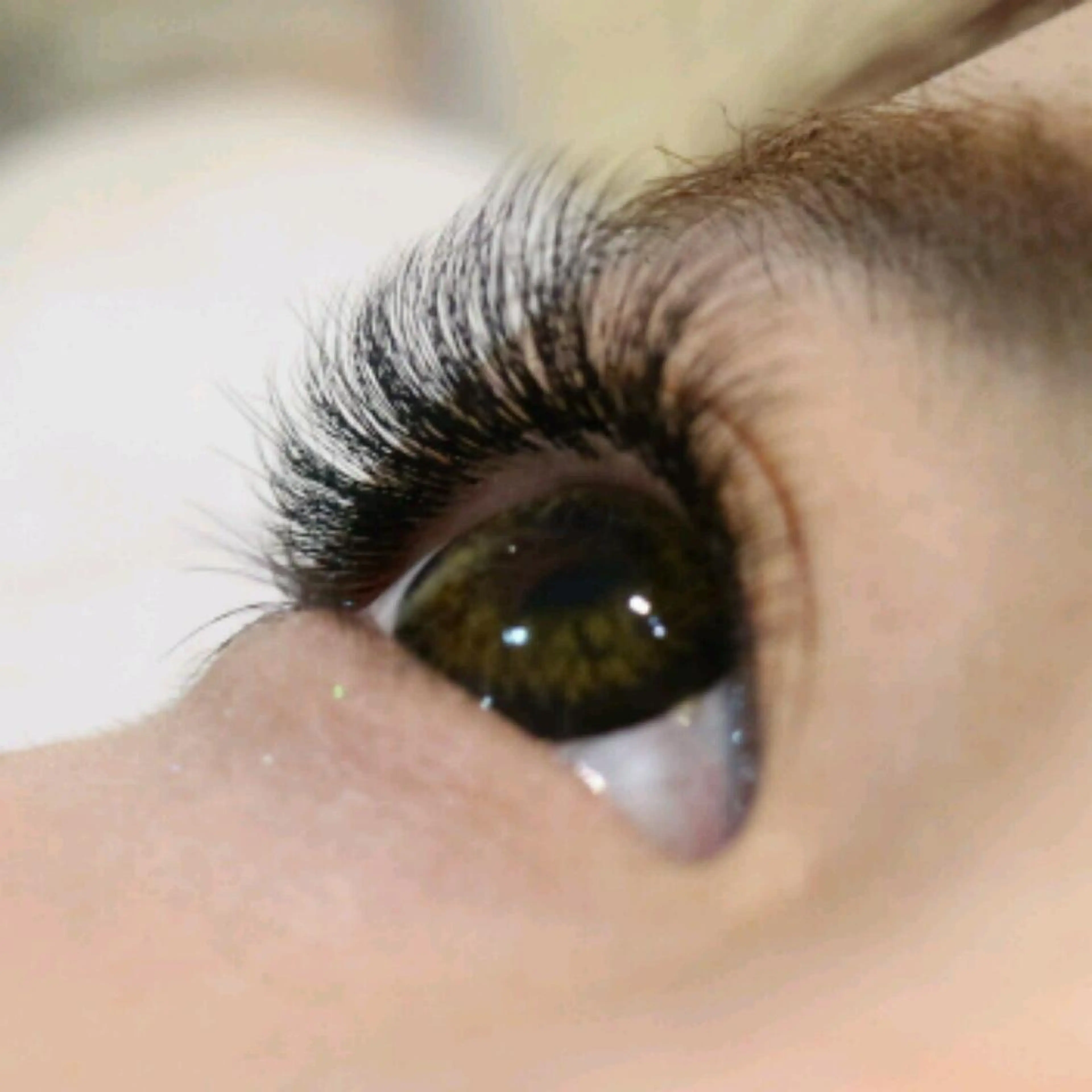 ボリューム✨【ドーリーeye】4D80束（320本）¥7,150→¥5,000の写真