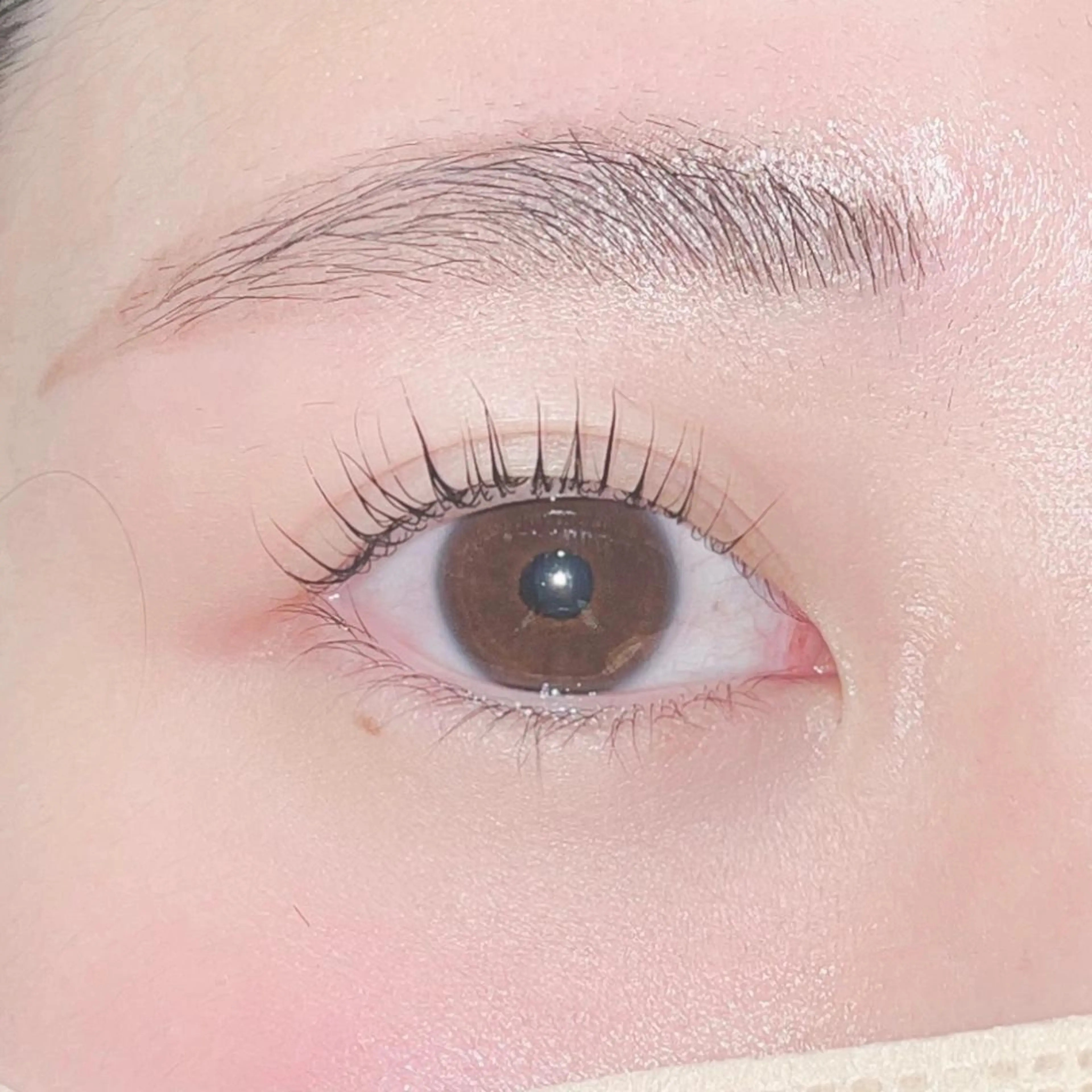 マツエク・マツパ LUCIA所属・小湊理央 🐣LUCIA🐣のその他イメージ