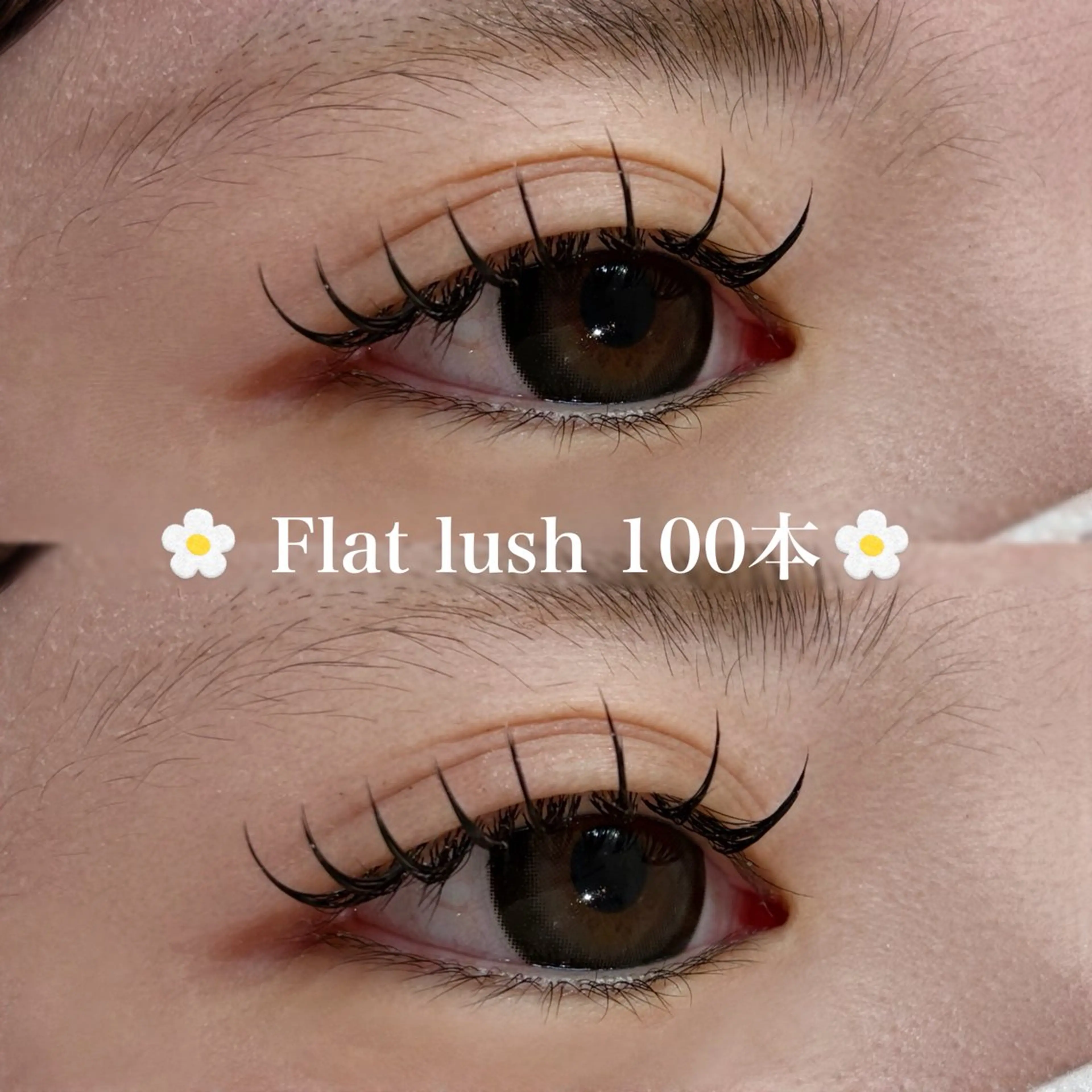 【人数制限あり⭐️平日限定】まつ毛エクステ👀100本✨の写真