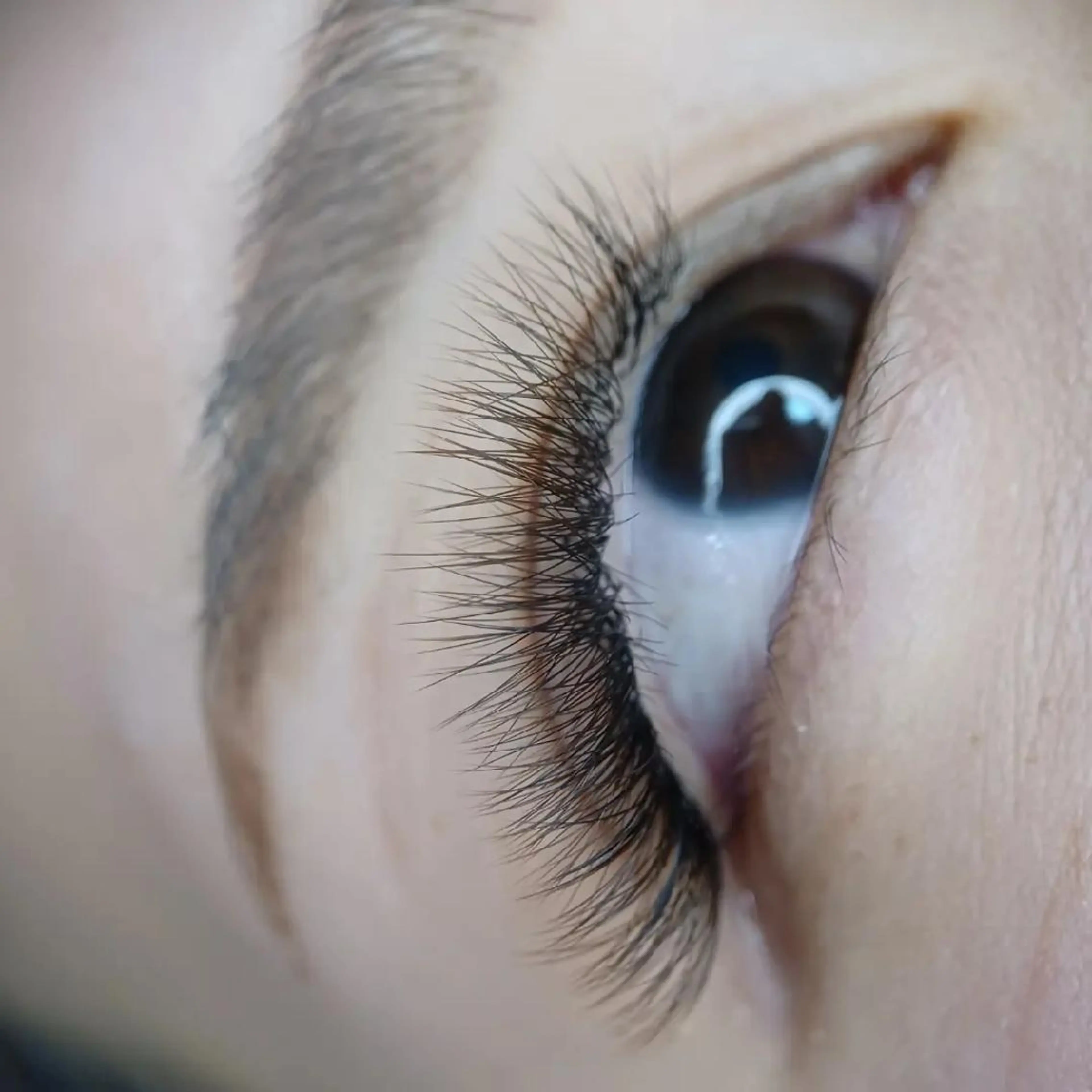 マツエク・マツパ カラーマツエク ボリュームラッシュ マツエク 岡崎 良美のマツエク・マツパデザイン