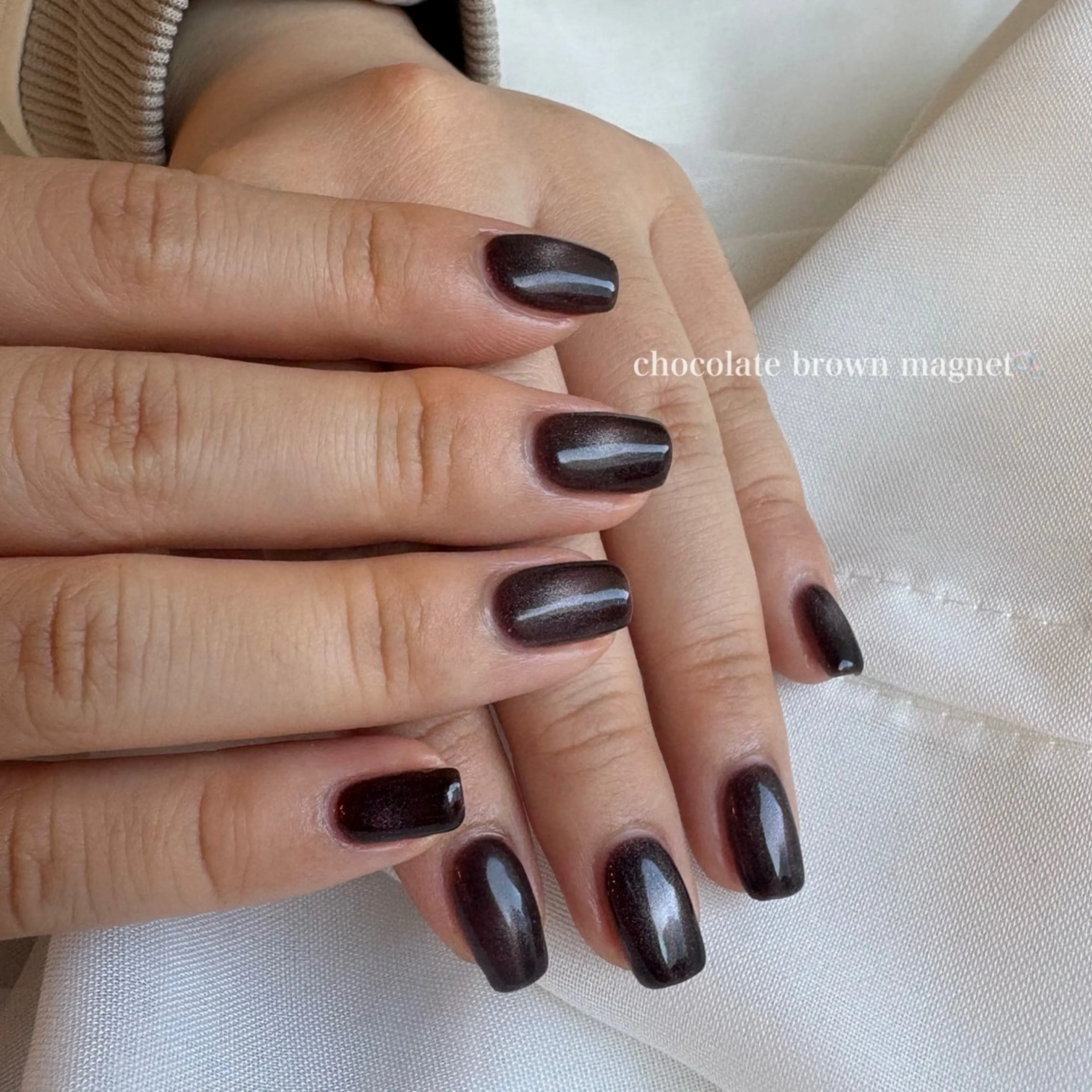 ネイル ブラウン マグネットネイル Rich+nail Mayuのネイルデザイン