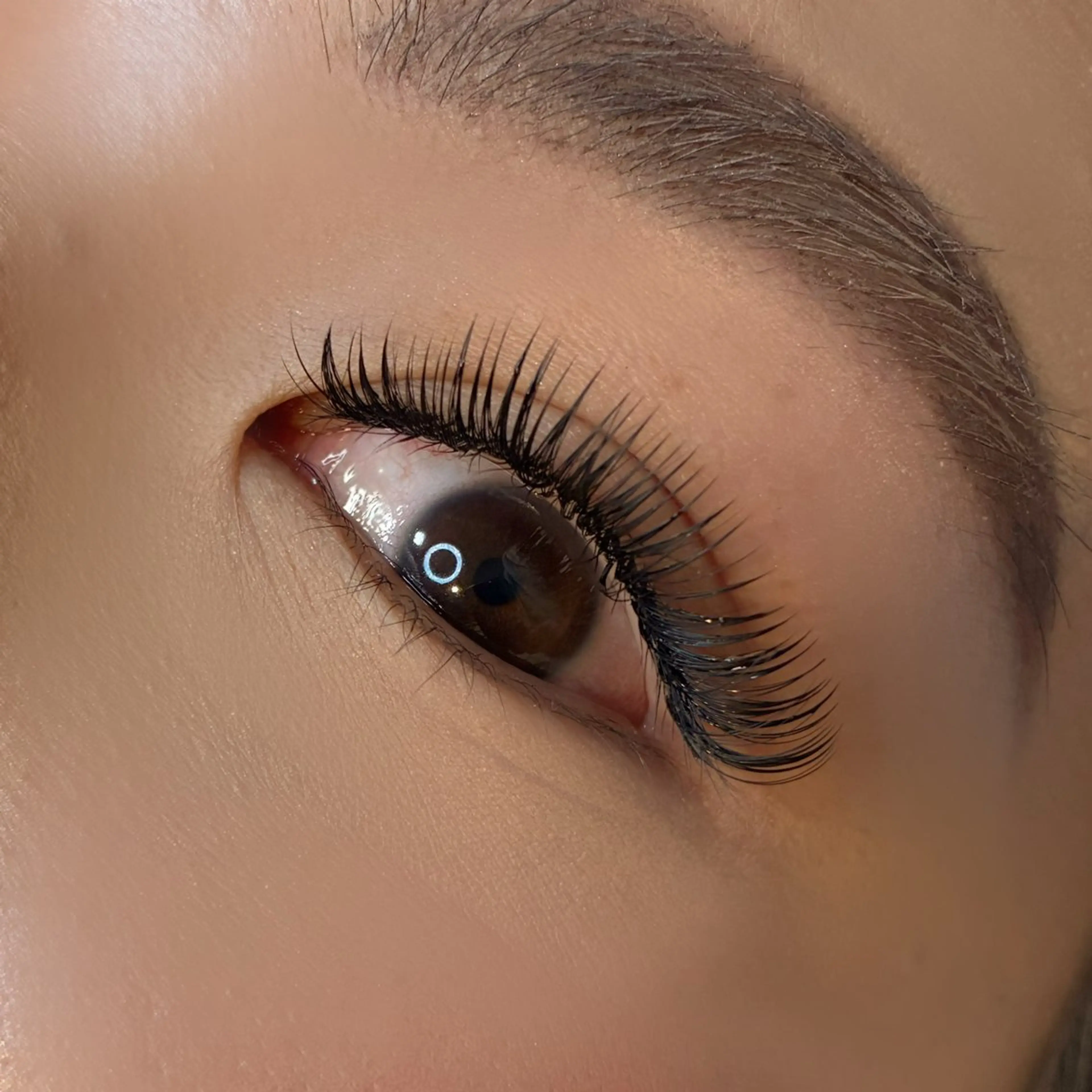 🌵ボリュームラッシュ つけ放題🌵オフ込み🌵の写真