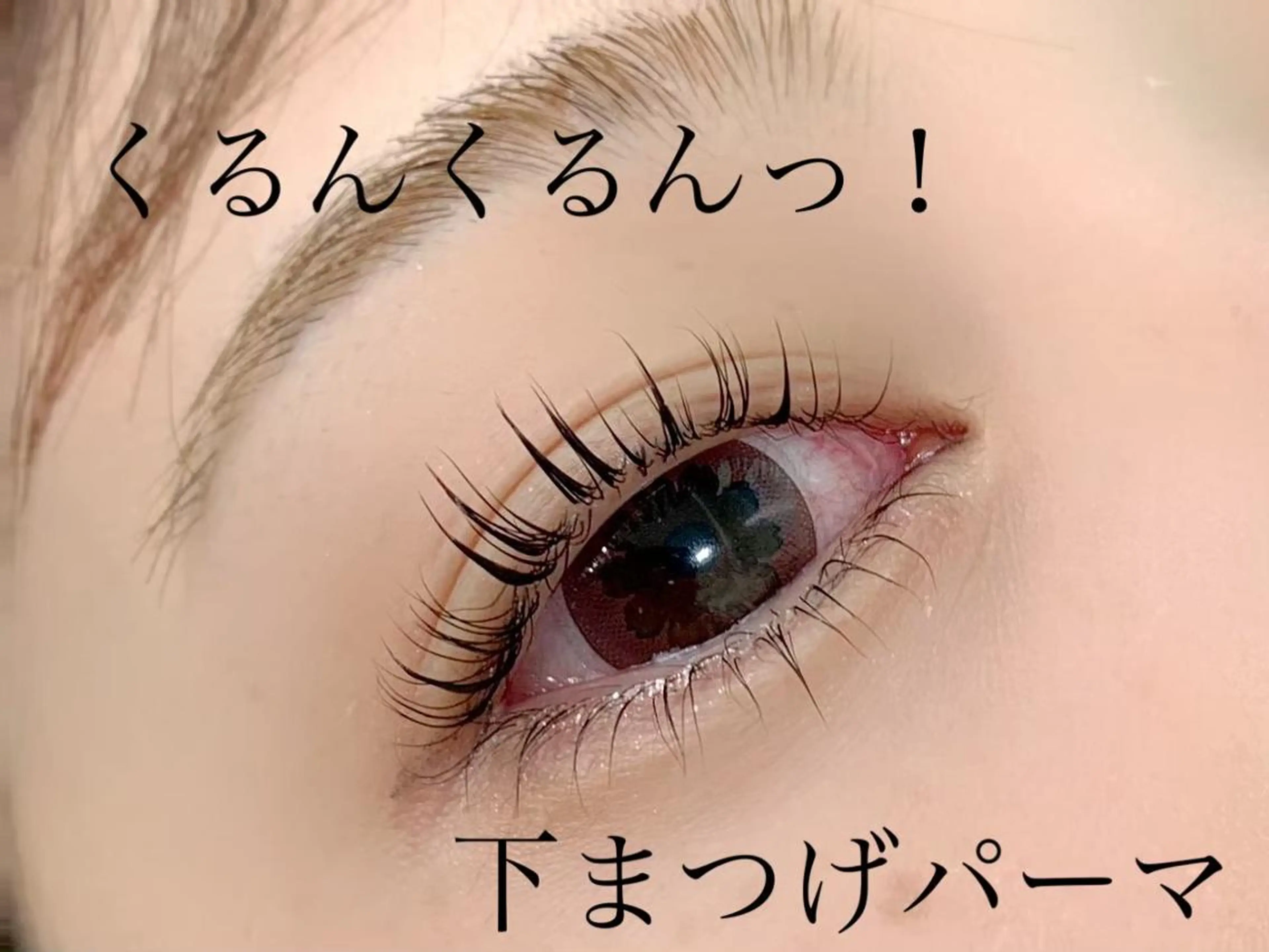 マツエク・マツパ まつげパーマ専門店 ベリーラッシュの眉毛・アイブロウイメージ