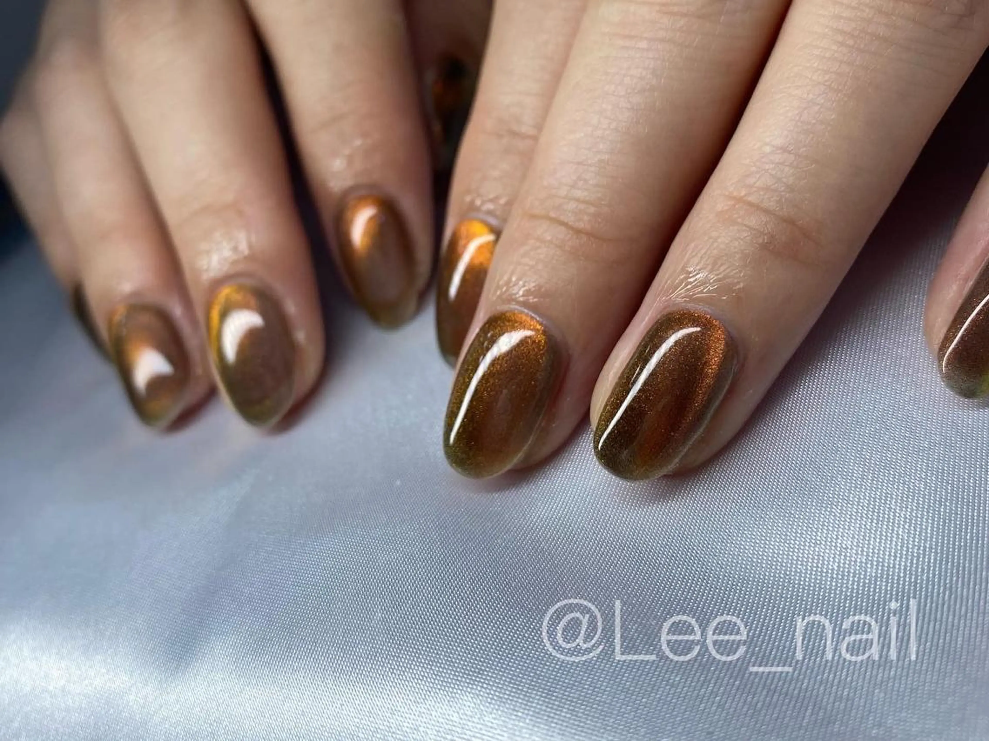 ネイル マグネットネイル ハンドネイル Lee_ nailのネイルデザイン