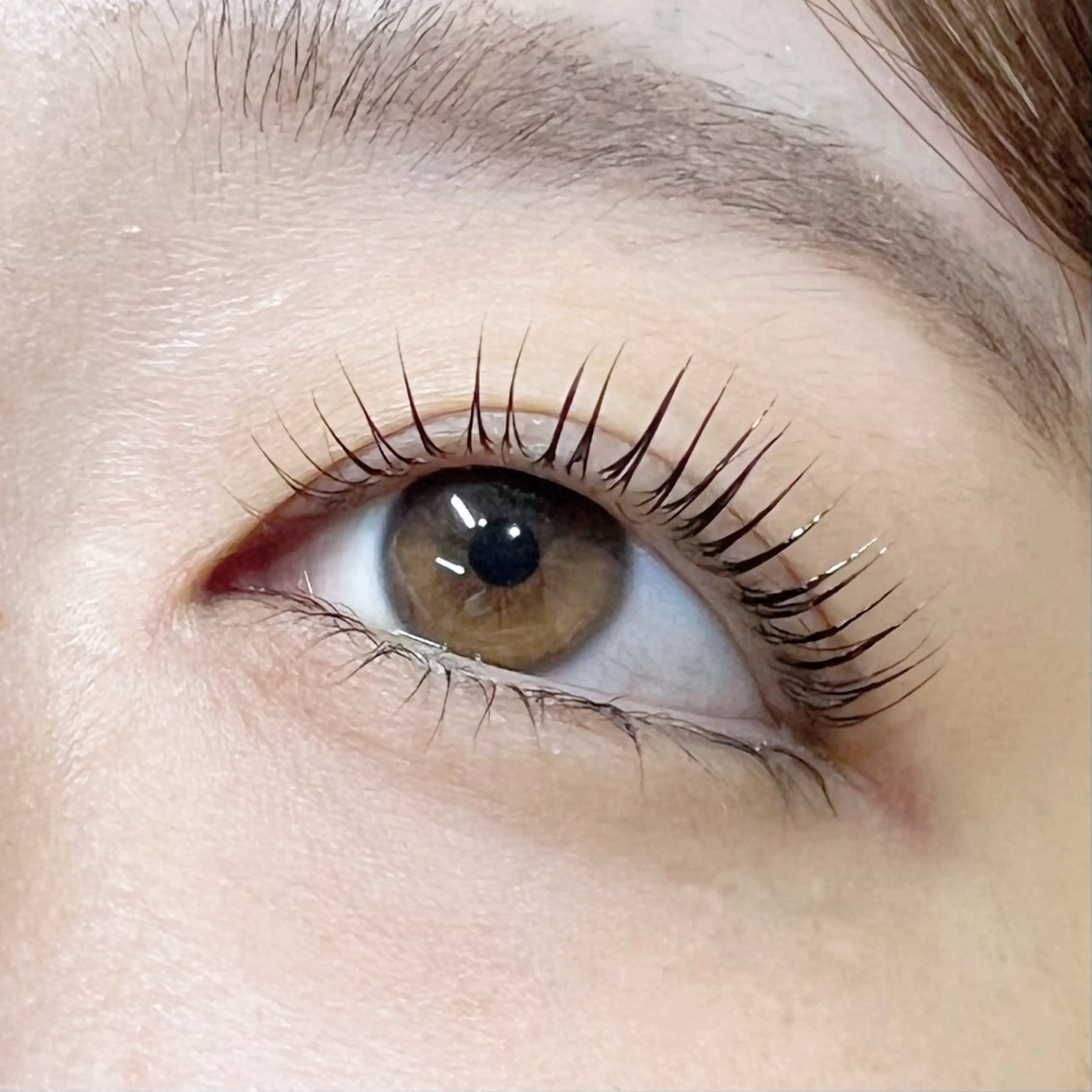 マツエク・マツパ MAQUIA 大場のマツエク・マツパデザイン