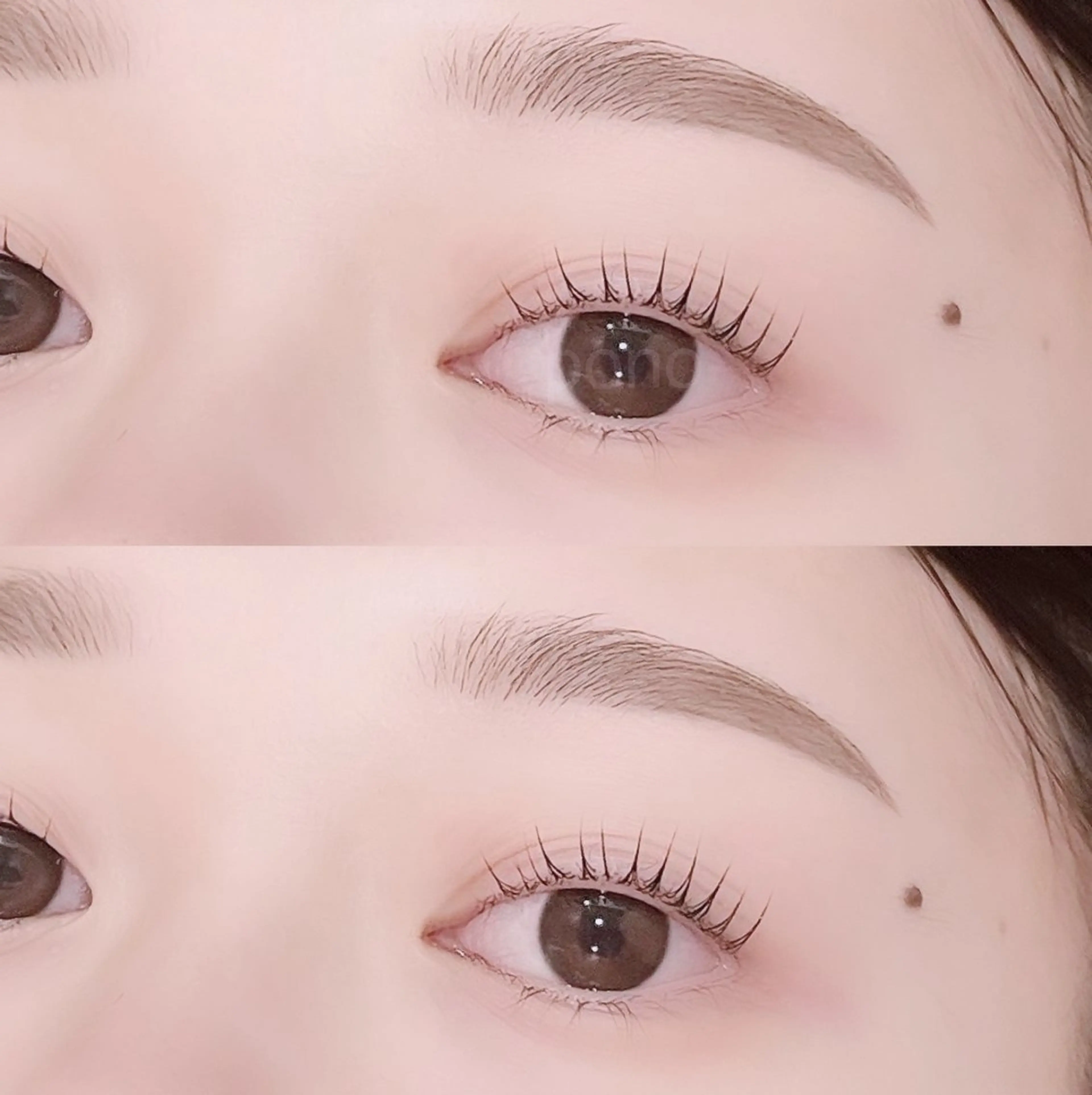🩰アイブロウ➕パリジェンヌ🩰束間コーティング付き👀🩵の写真