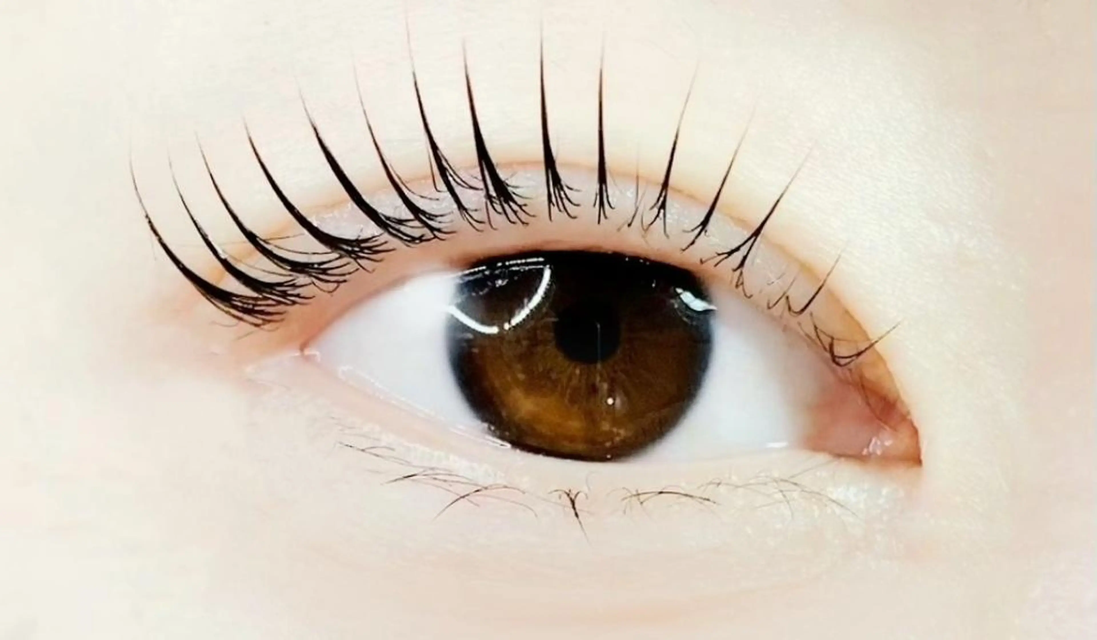 マツエク・マツパ パリジェンヌラッシュリフト マツパ Hair&Make pink’s 下北沢所属・pink’s 下北沢のマツエク・マツパデザイン