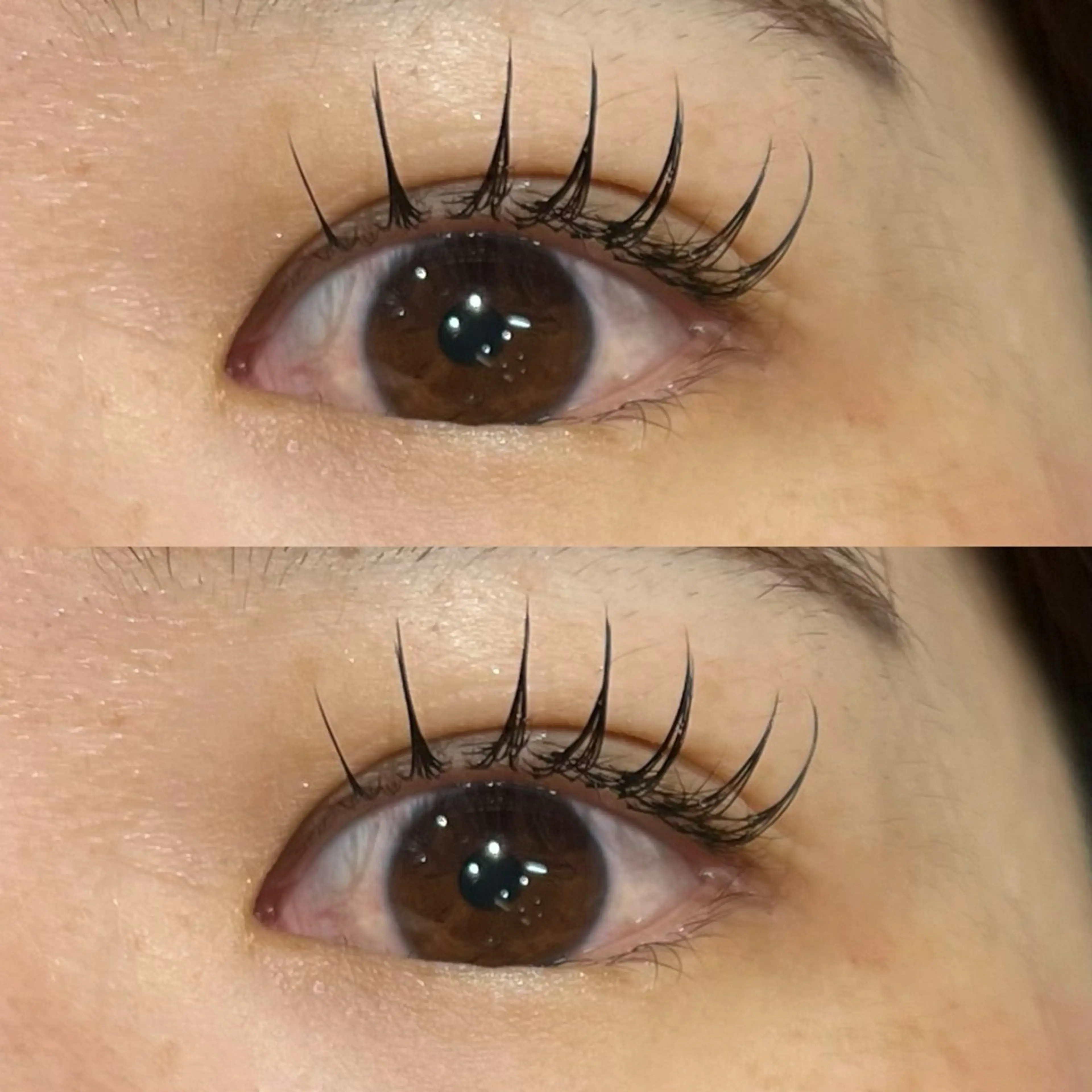 マツエク・マツパ Cカール フラットラッシュ ナチュラル マツエク 🌿ayaki🌿 en Reveのマツエク・マツパデザイン