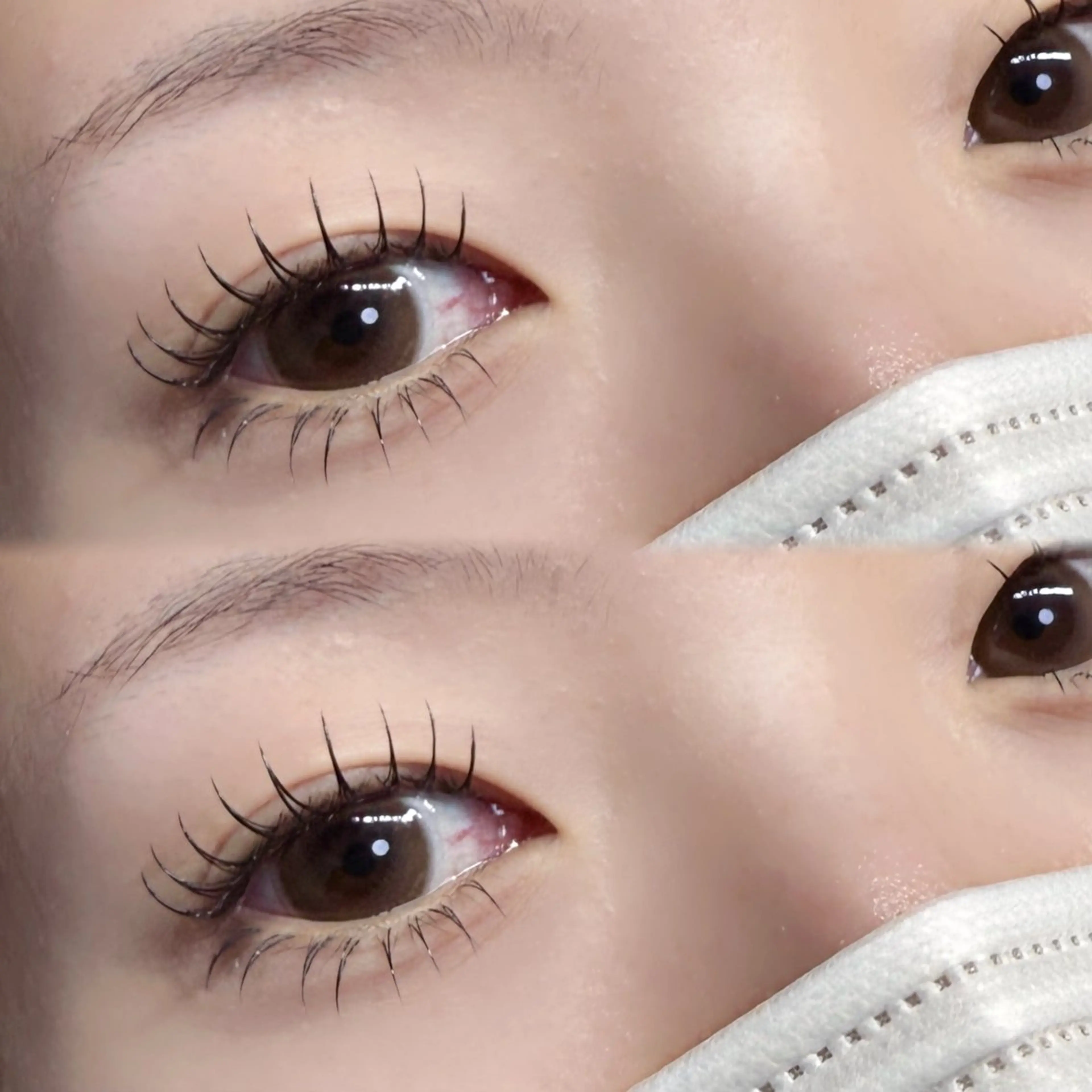 フラットラッシュ上下140本 ¥7,500の写真