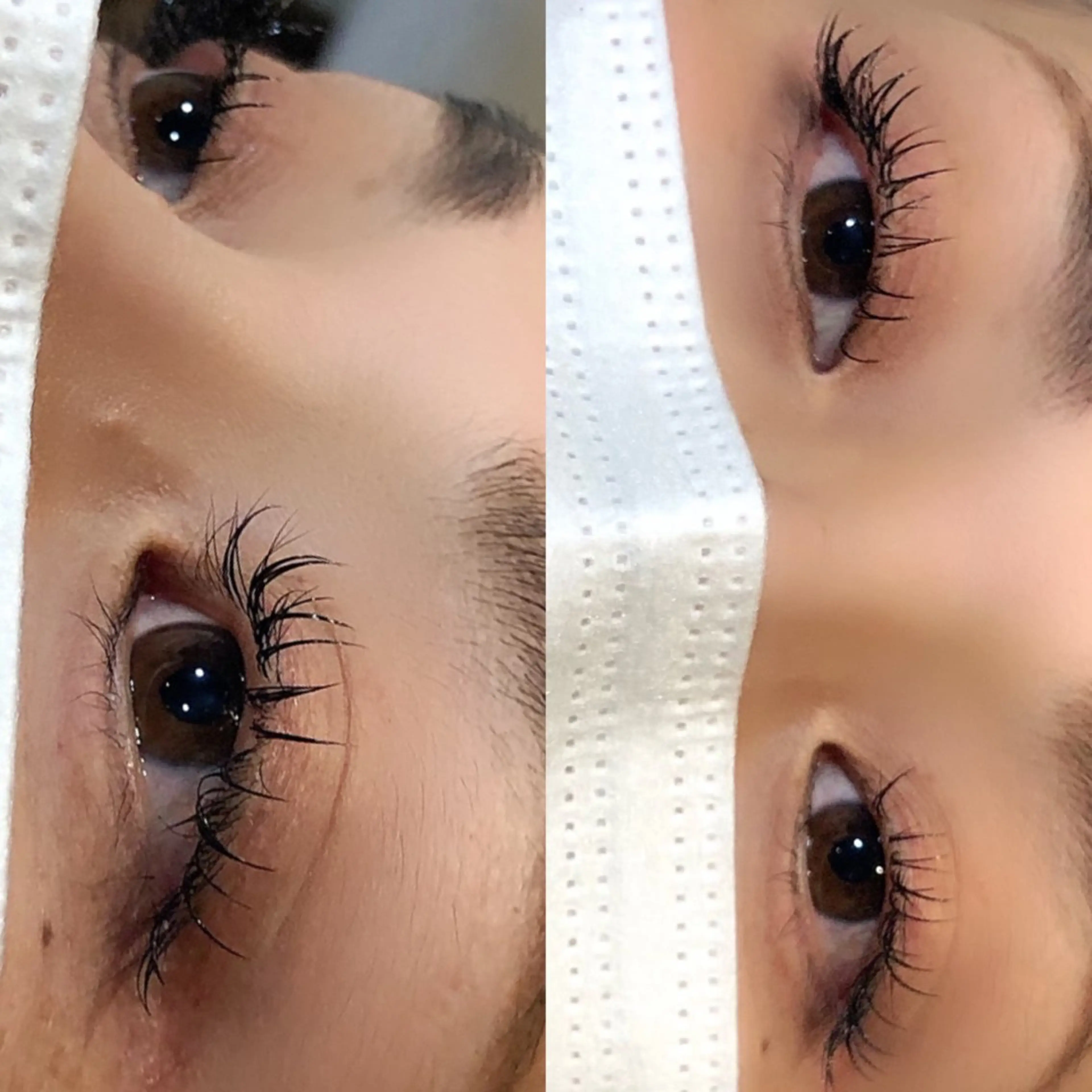 マツエク・マツパ 💛🌼こんどう ひなた🐥⸒のマツエク・マツパデザイン