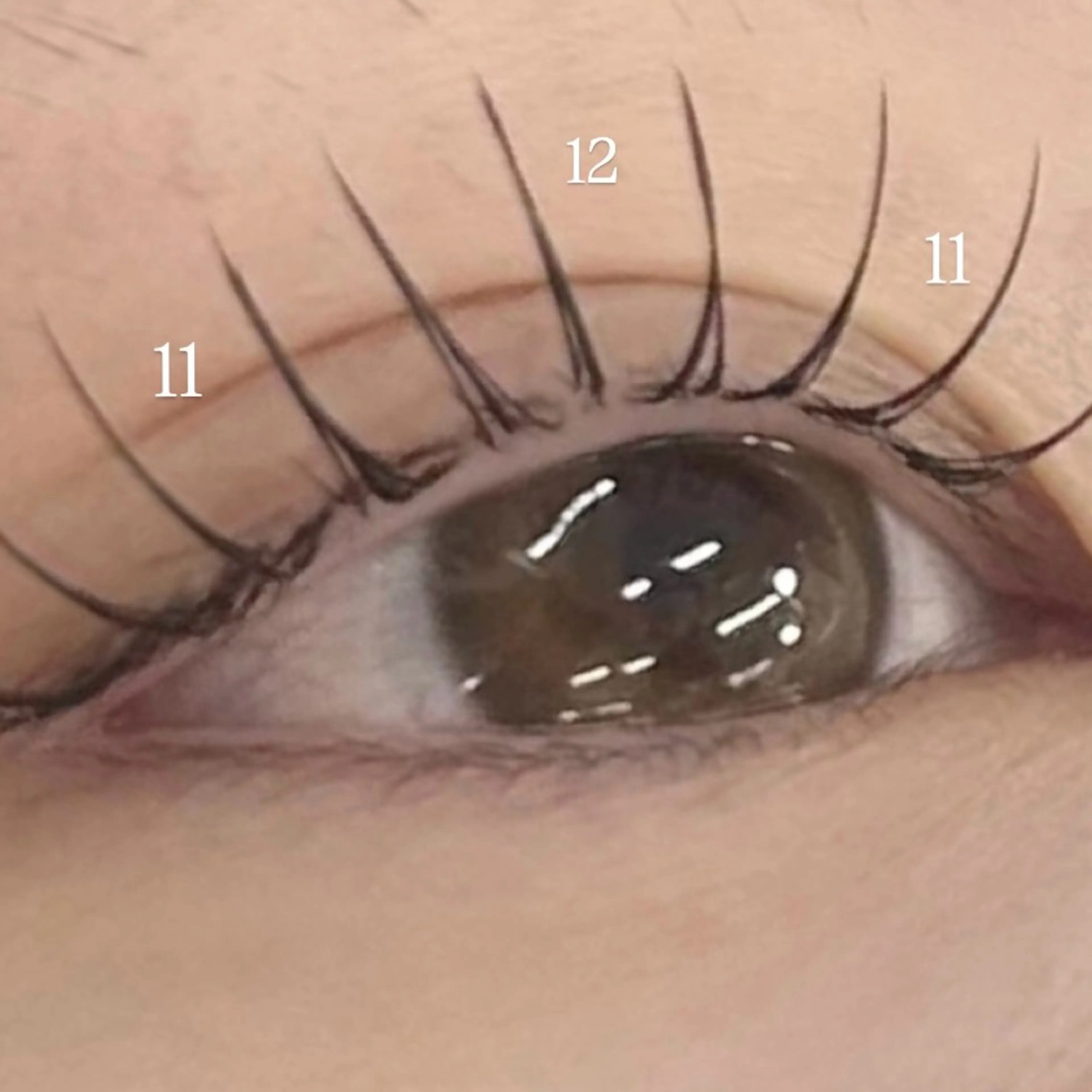 『エクステ×まつげパーマ』プレッツェルラッシュ🎀の写真