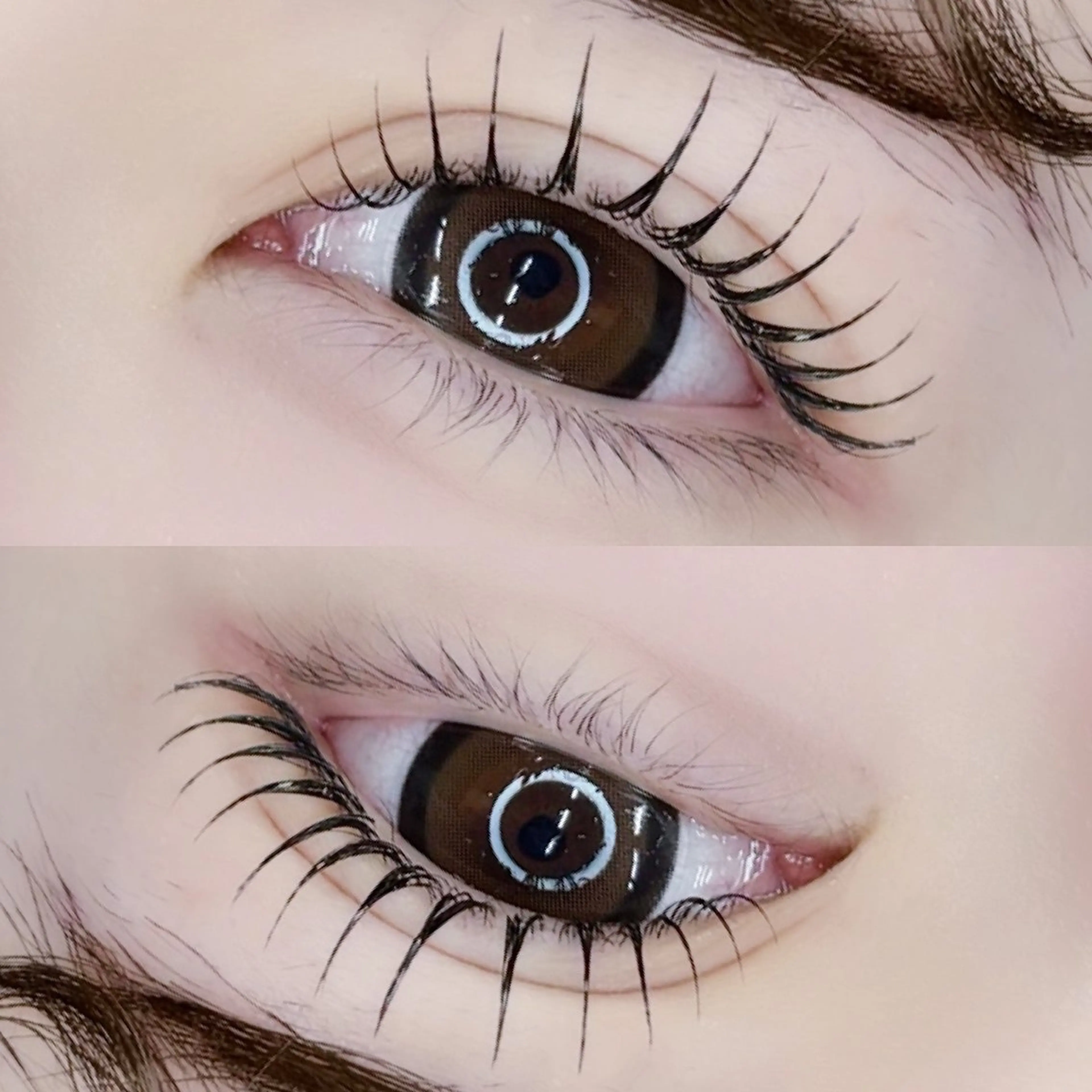 1/14.16 LEDマツエク　オフ有🆗アンドヘルシー　100本　二重限定‼️の写真