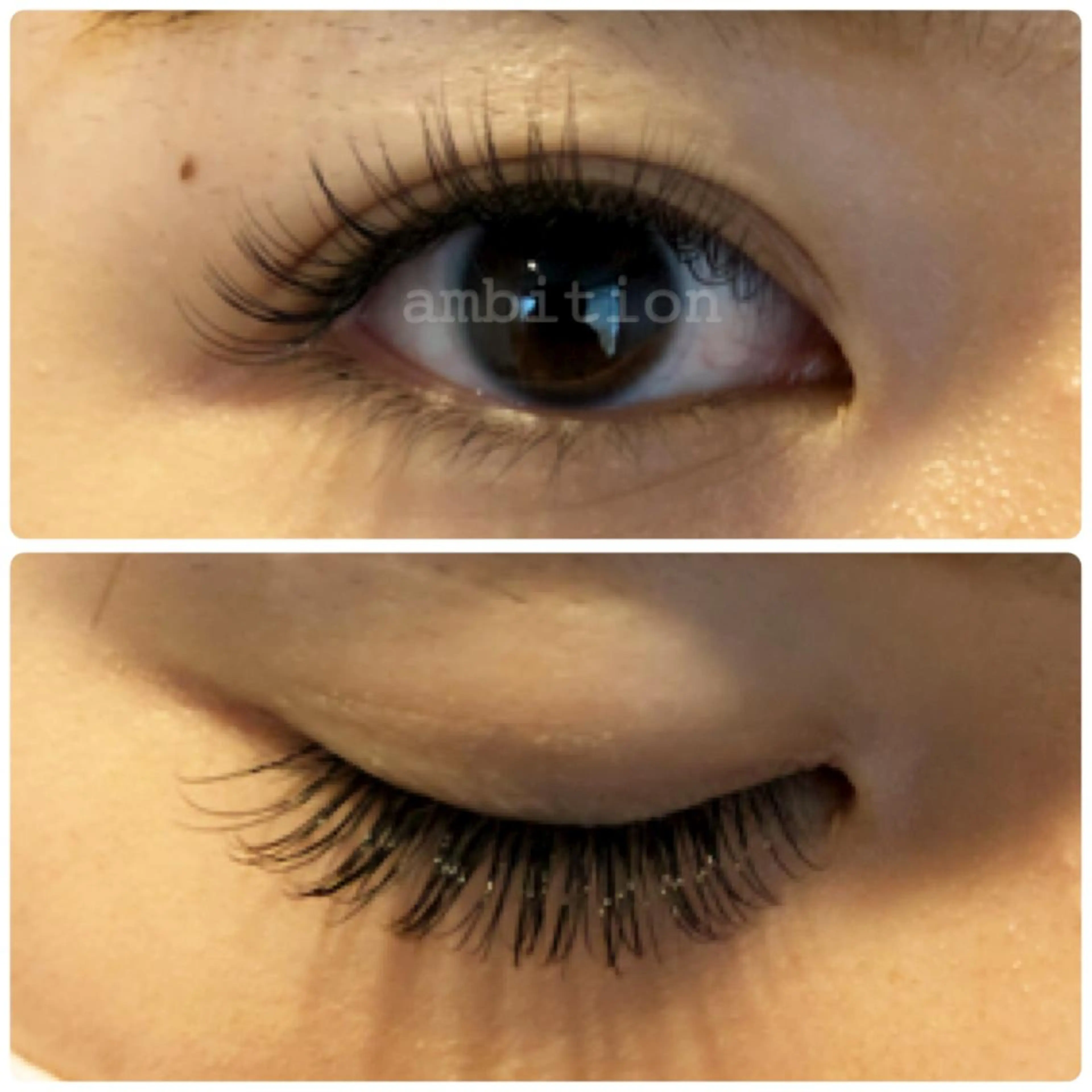 マツエク・マツパ Cカール セーブル Daisy Lash 梅田本店のマツエク・マツパデザイン