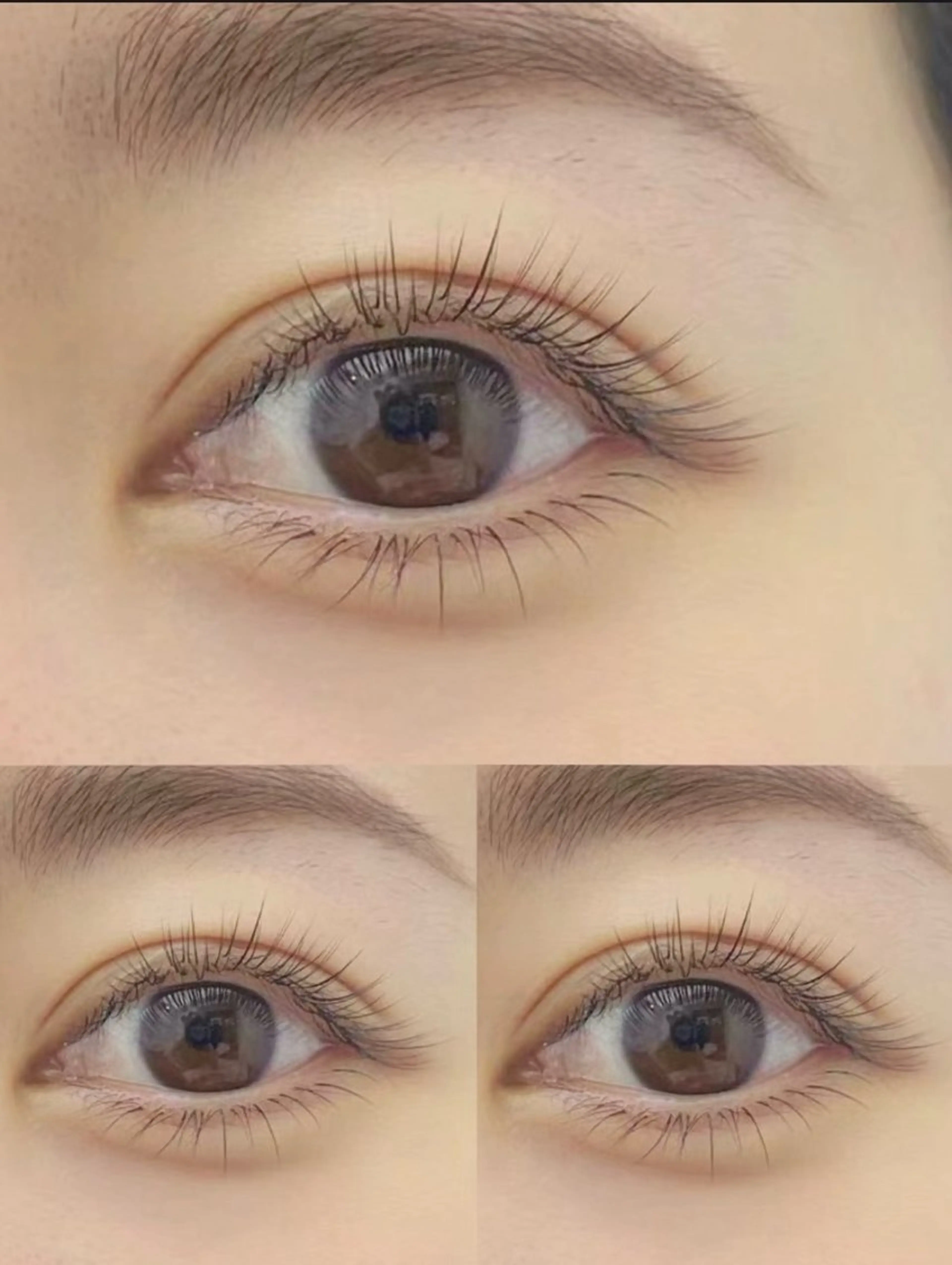 🌺フラットラッシュ120本(上のみ)💕いつでも3800円アイシャンプー付き💕オフ➕300円の写真