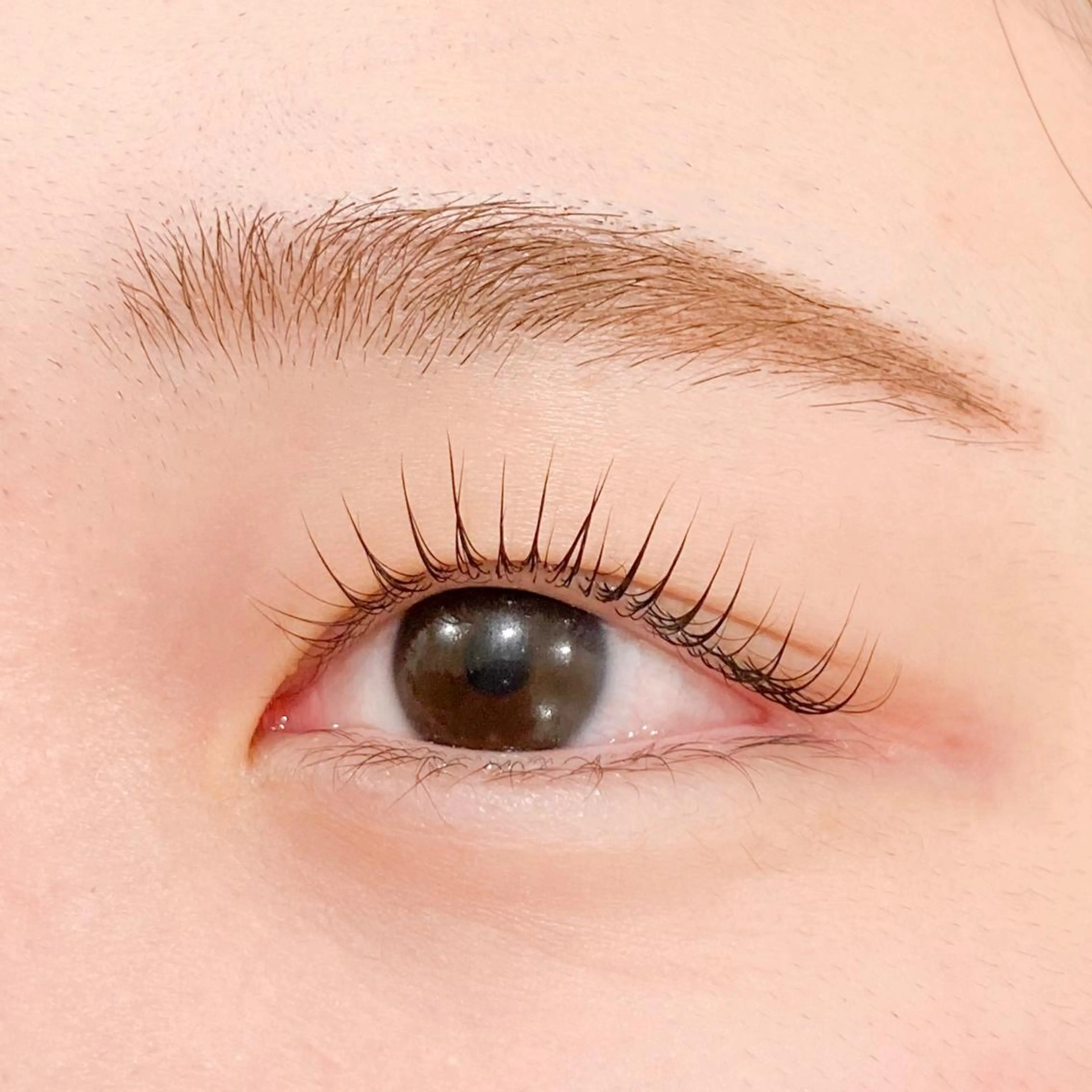 マツエク・マツパ レイフィールド北名古屋所属・レイフィールド 服部のマツエク・マツパデザイン