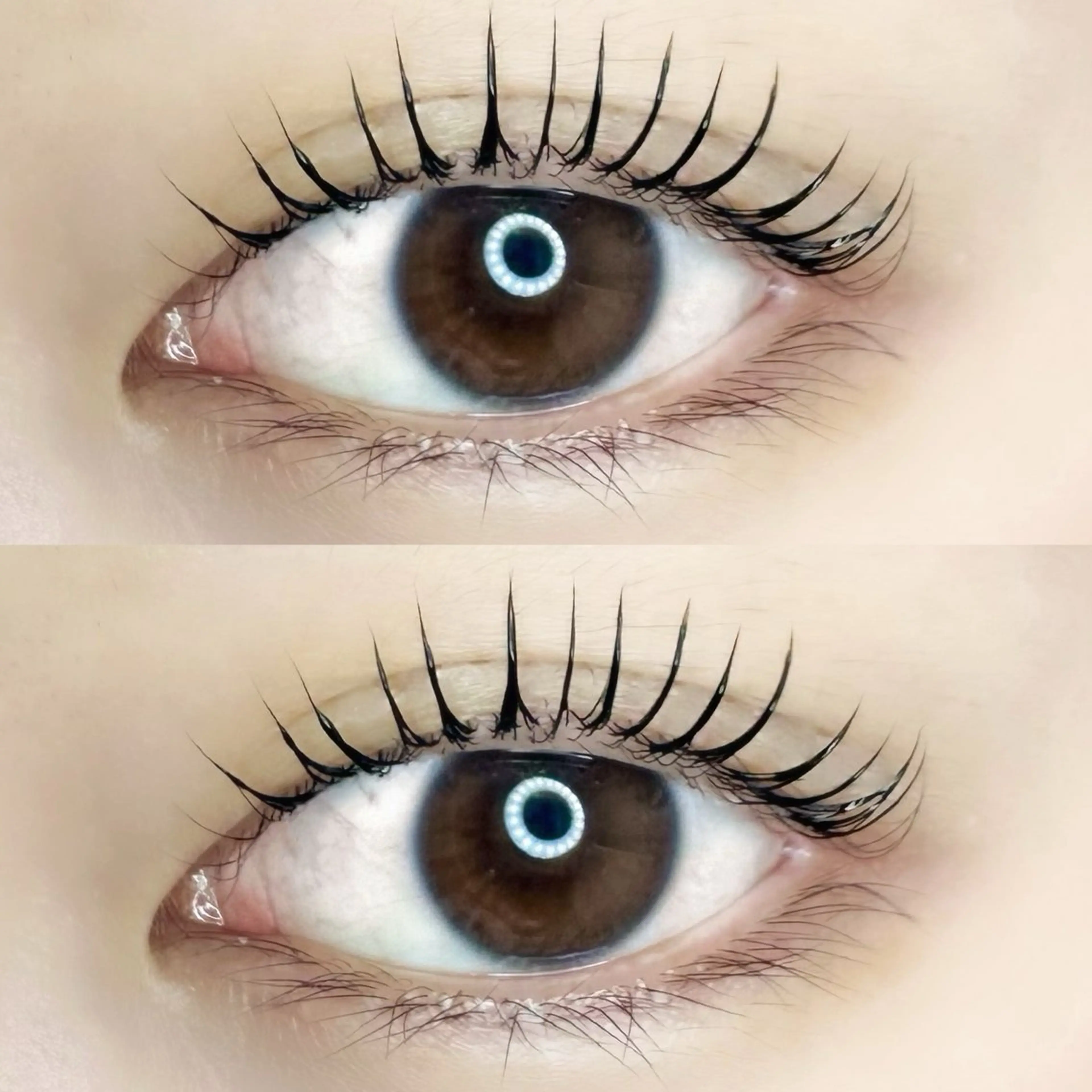 【ご新規様】マスカラパーマ🤍(パリジェンヌ、メーテル+500円)の写真