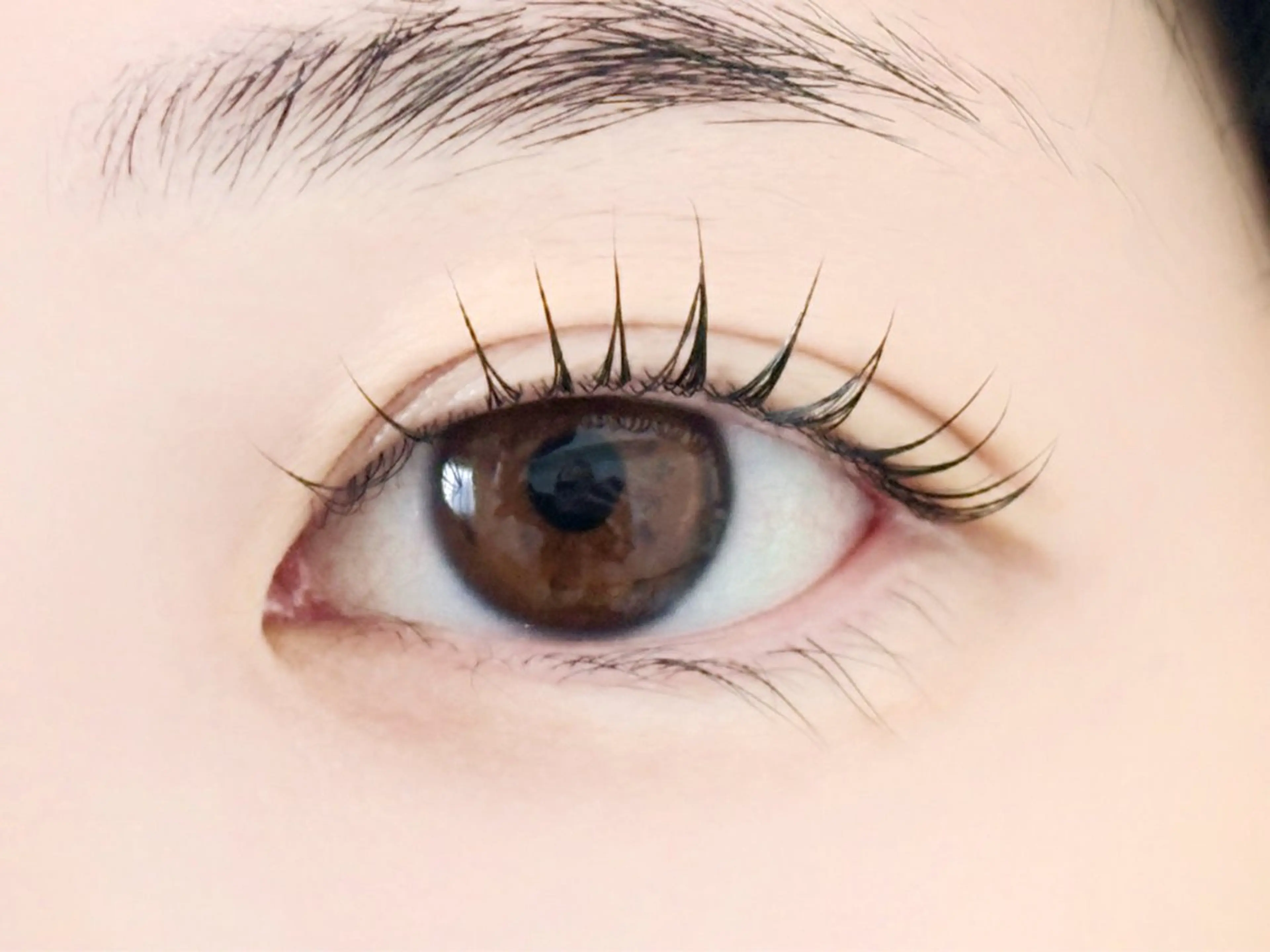 マツエク・マツパ マツパ magi 宇都宮店 渡邉萌🍒のマツエク・マツパデザイン