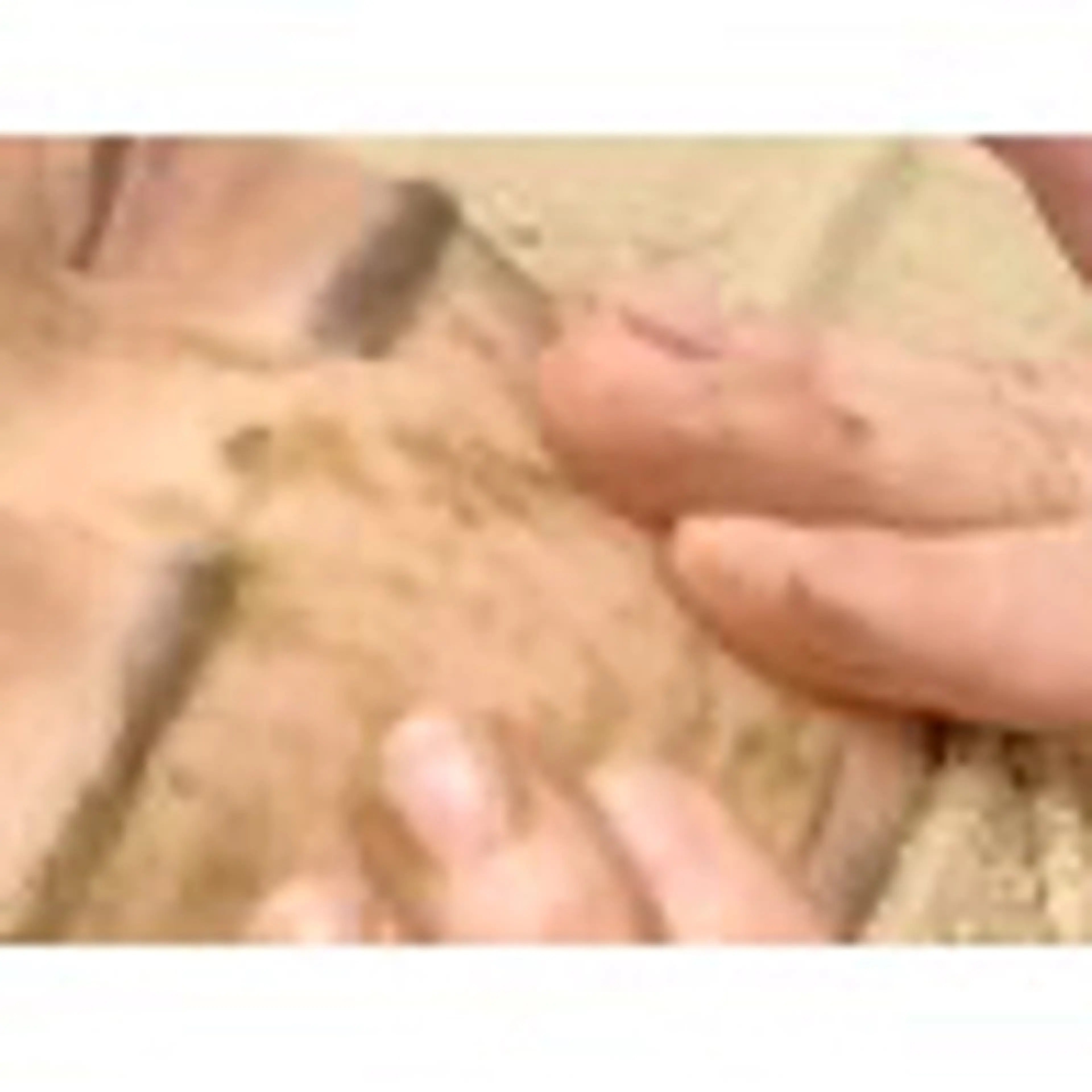 ミニモ学割🧑‍🎓 【本気のニキビケアを始める方】☆ポイントハーブピーリング体験の写真