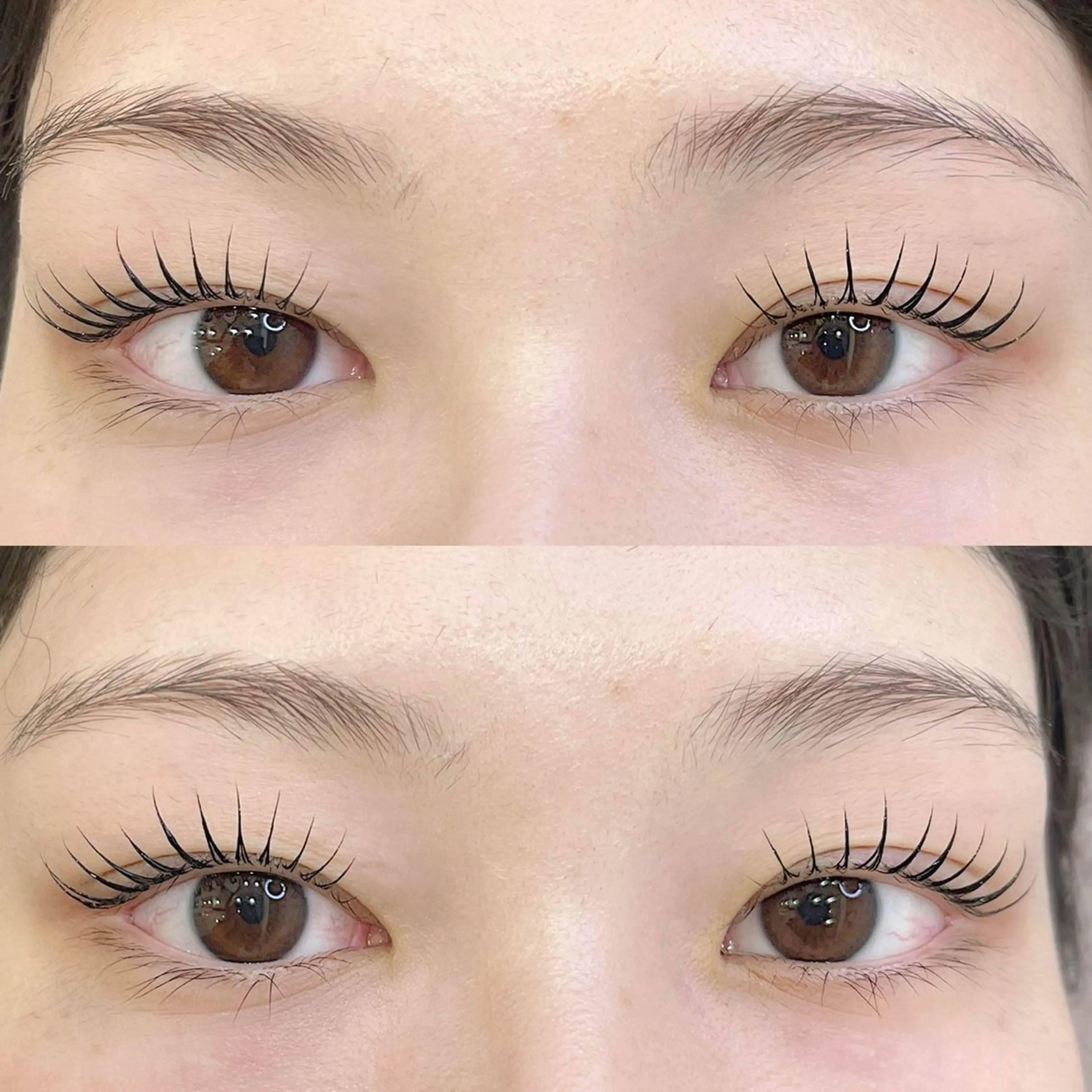 1/15日まつげパーマモデル様募集中⚠️注意事項お読みいただきご予約をお願いいたします。の写真