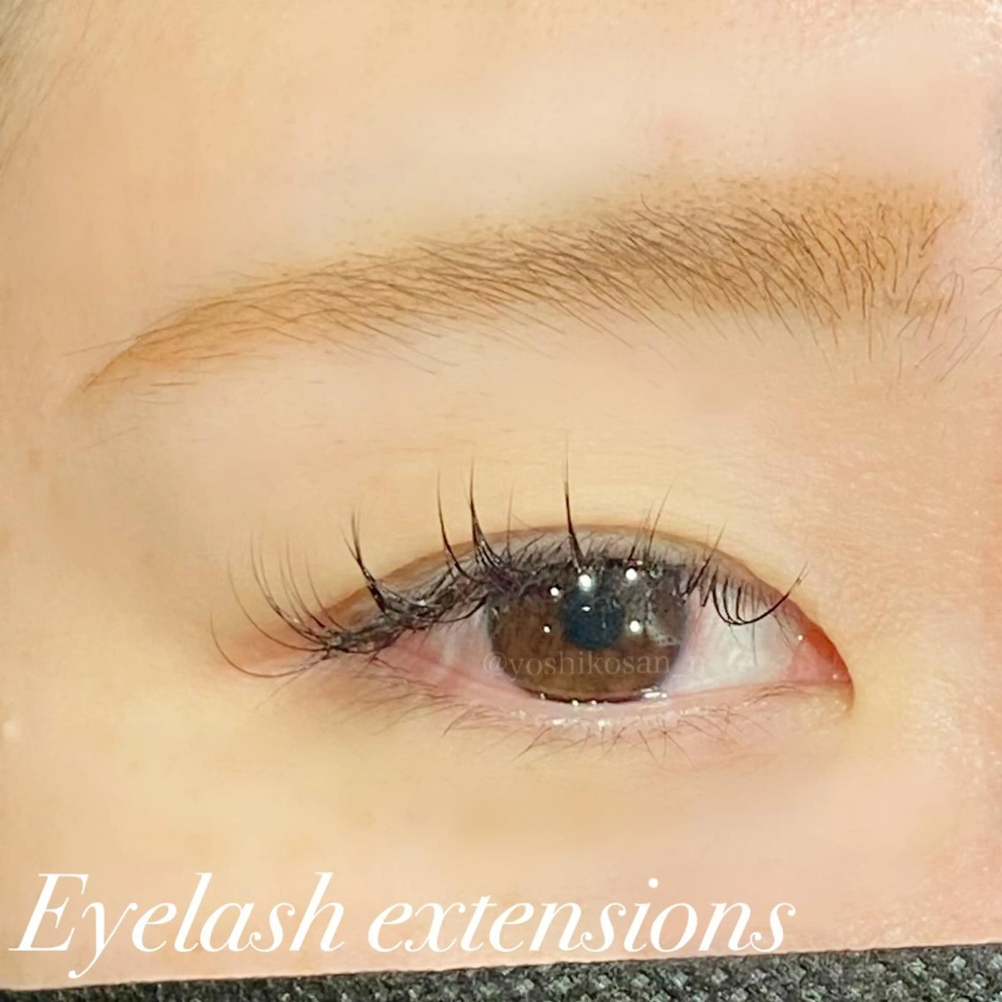 マツエク・マツパ マツエク Pixie Bob 🐈‍⬛　位田のマツエク・マツパデザイン