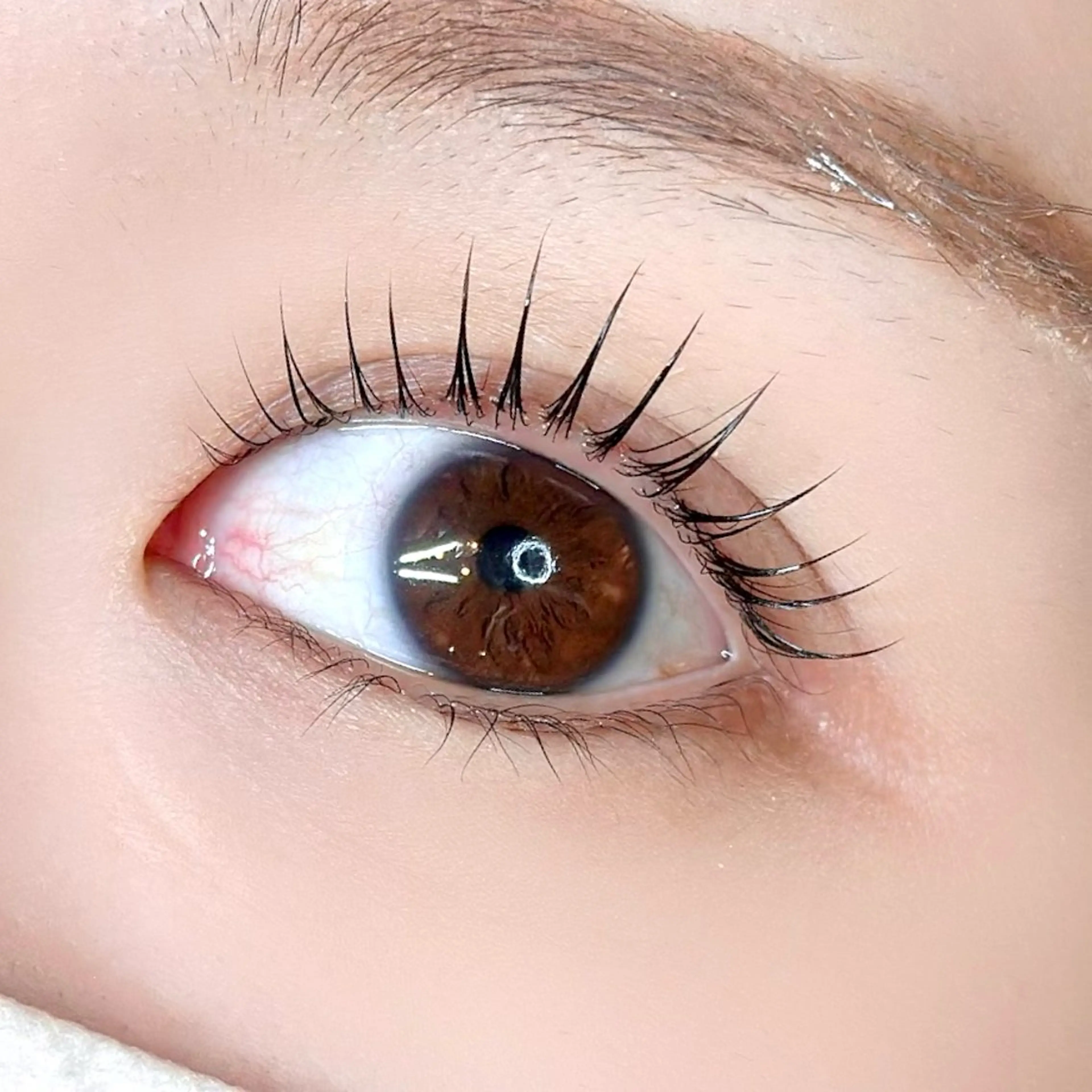 マツエク・マツパ ella所属・ella eyelashのマツエク・マツパデザイン