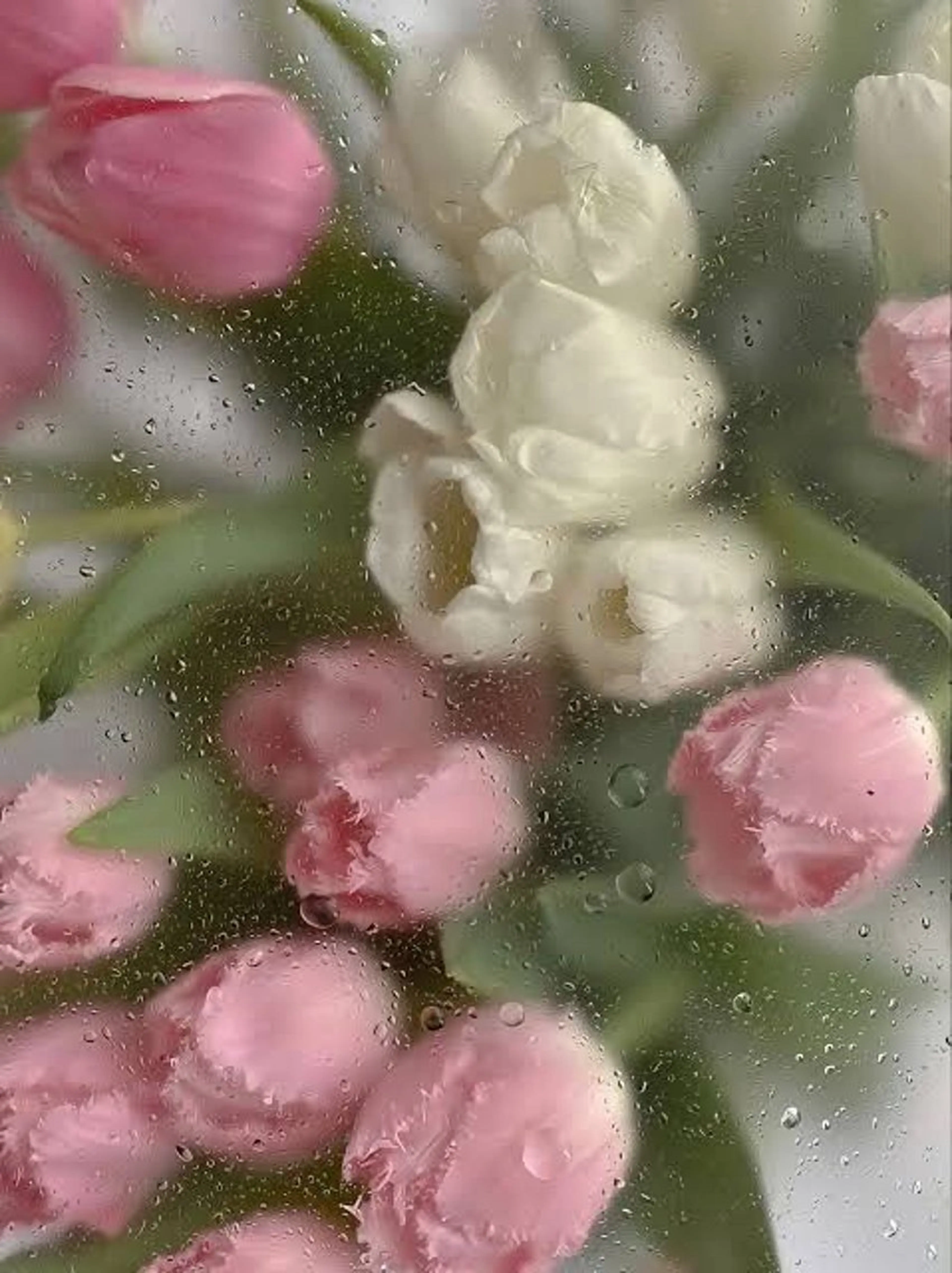 🦋 Natsumiのマツエク・マツパデザイン