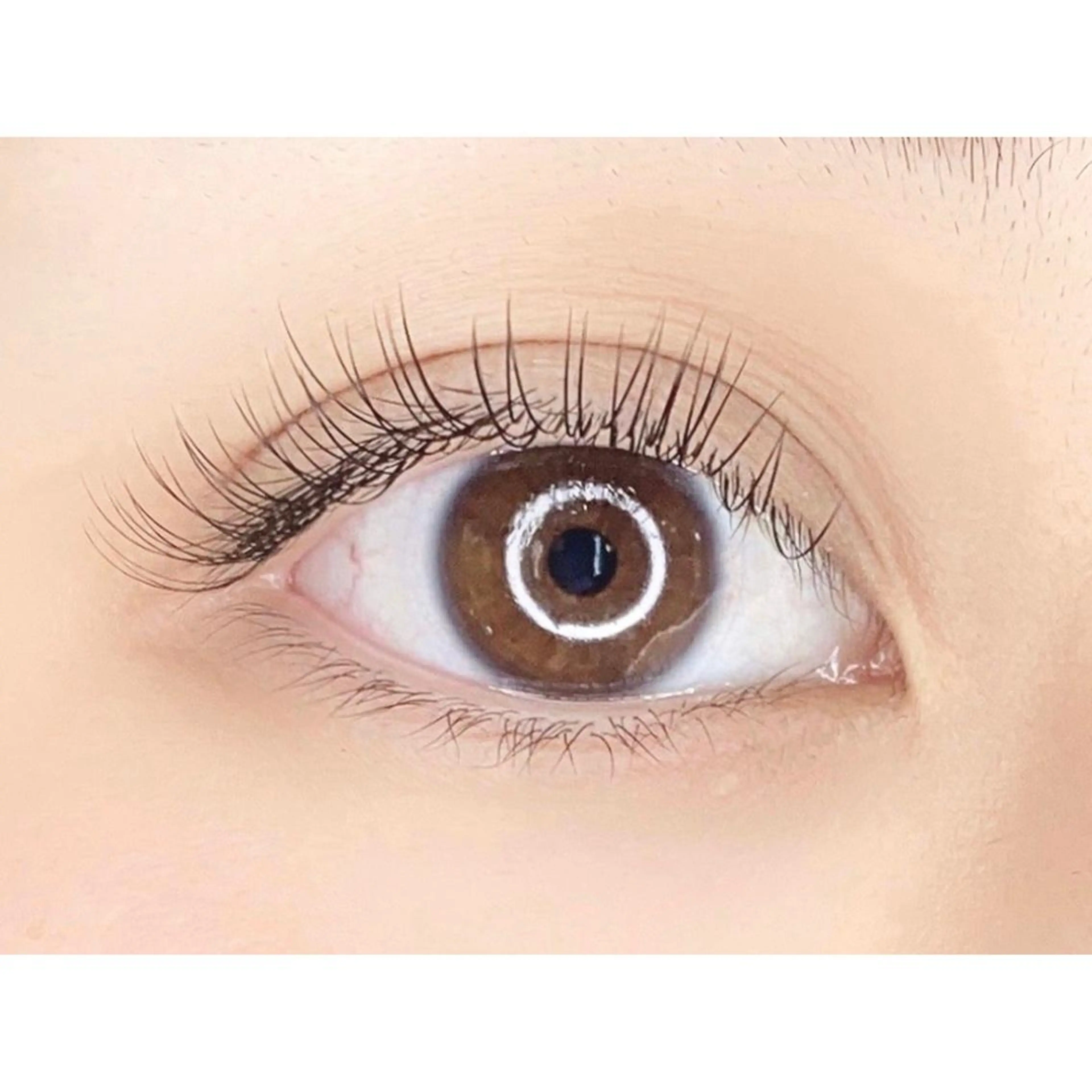 マツエク・マツパ マツエク brow art 上野 / 吉橋のマツエク・マツパデザイン