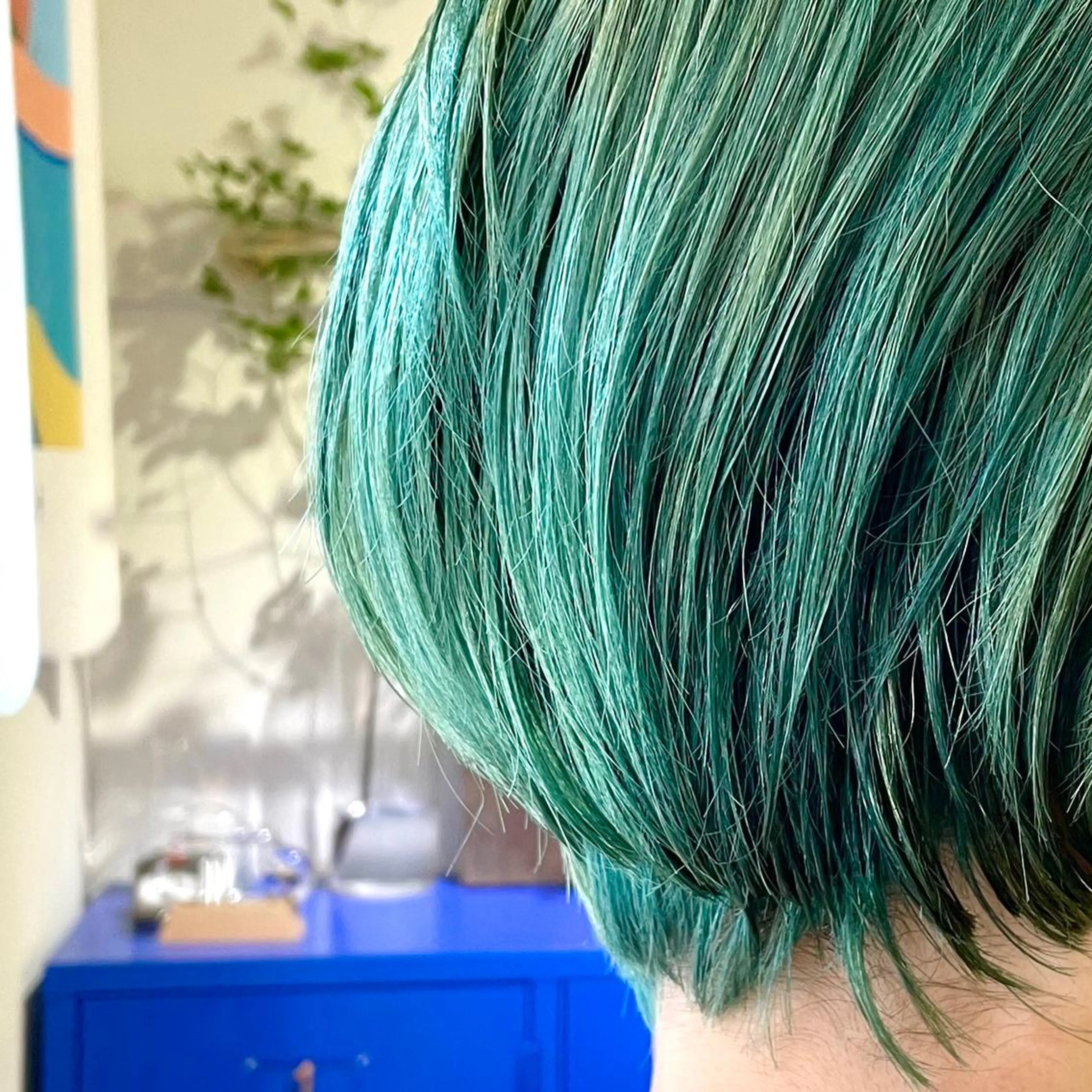 ショート カラー イシイ ハルナ 🤍のヘアスタイル