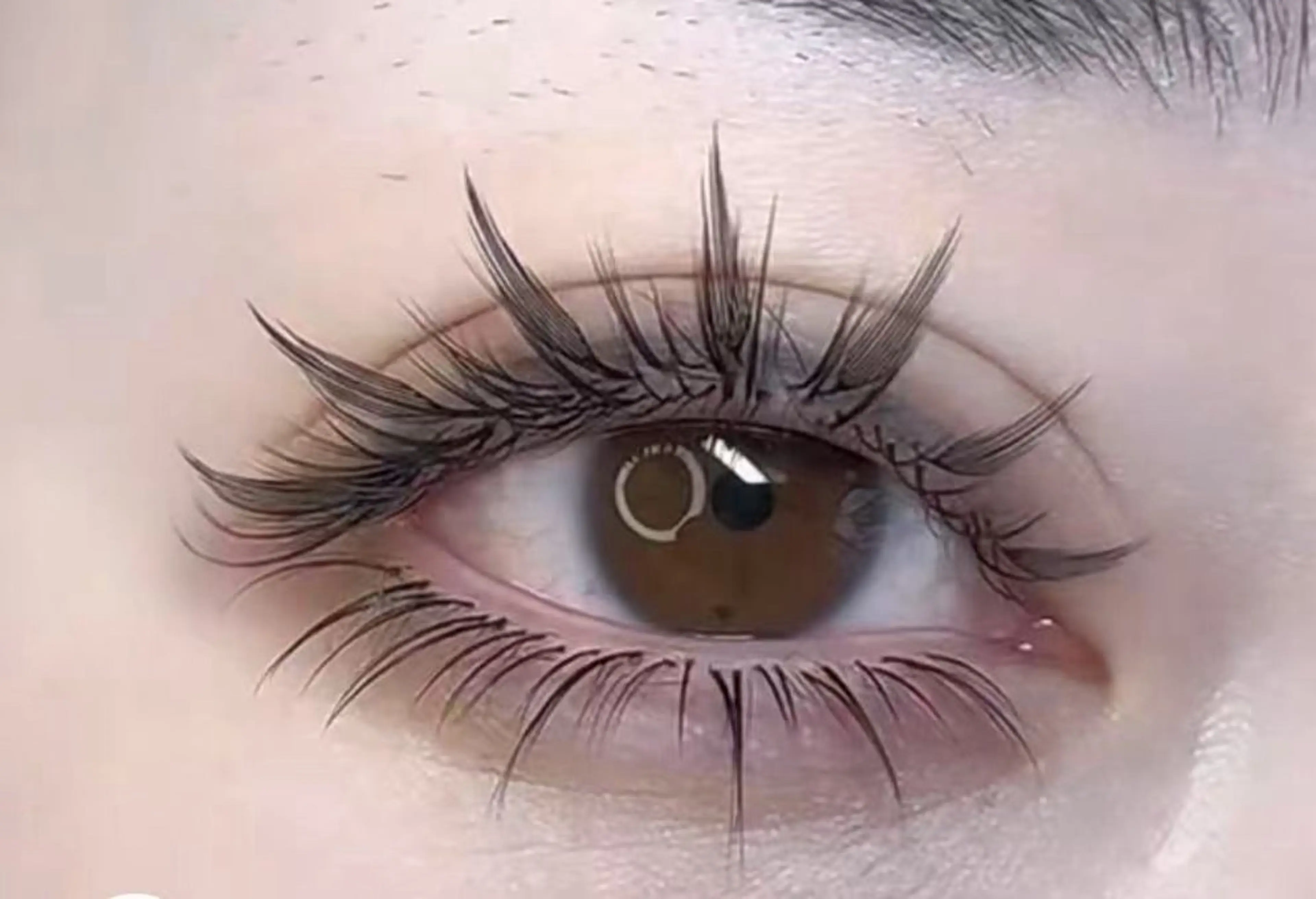 【韓国エクステ】束感まつげ◇ 羽束ワンホン（上まつげ）¥4400の写真