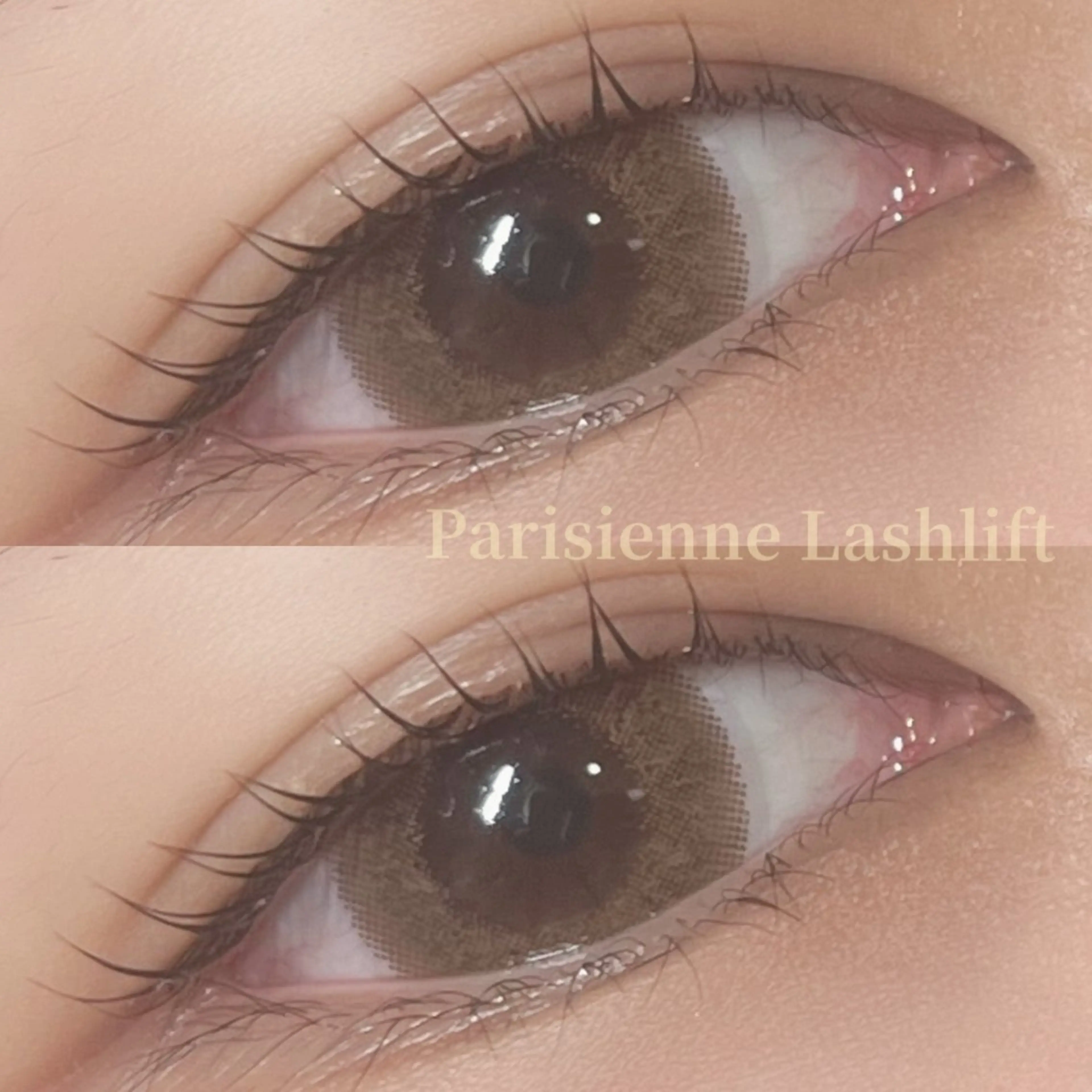 ⭐️パリジェンヌラッシュリフト⭐️の写真