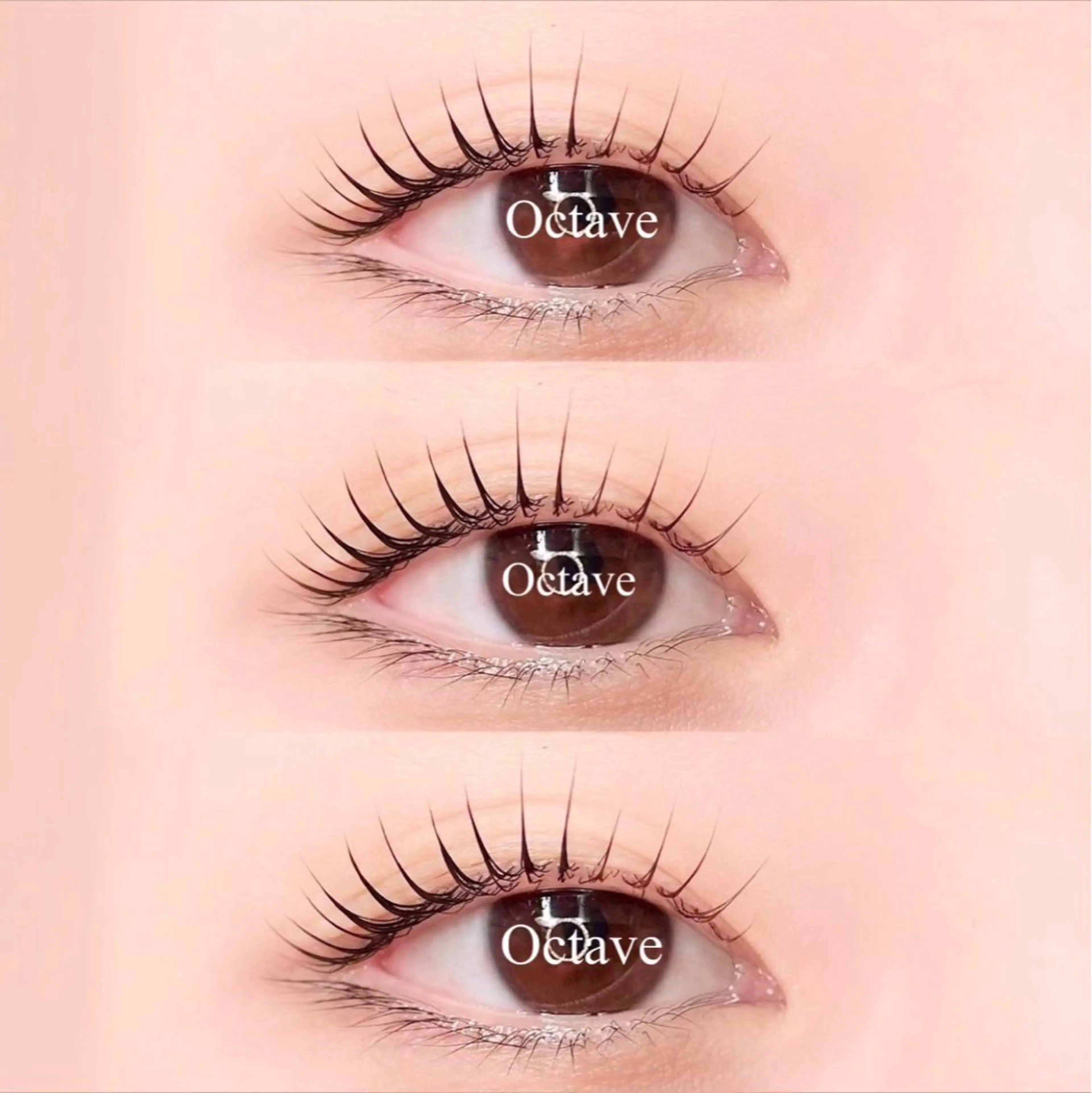 マツエク・マツパ まつげパーマ 一重×まつ毛パーマ まつ毛と眉毛の専門店　オクターブ福岡店所属・オクターブ 天神店の眉毛・アイブロウイメージ