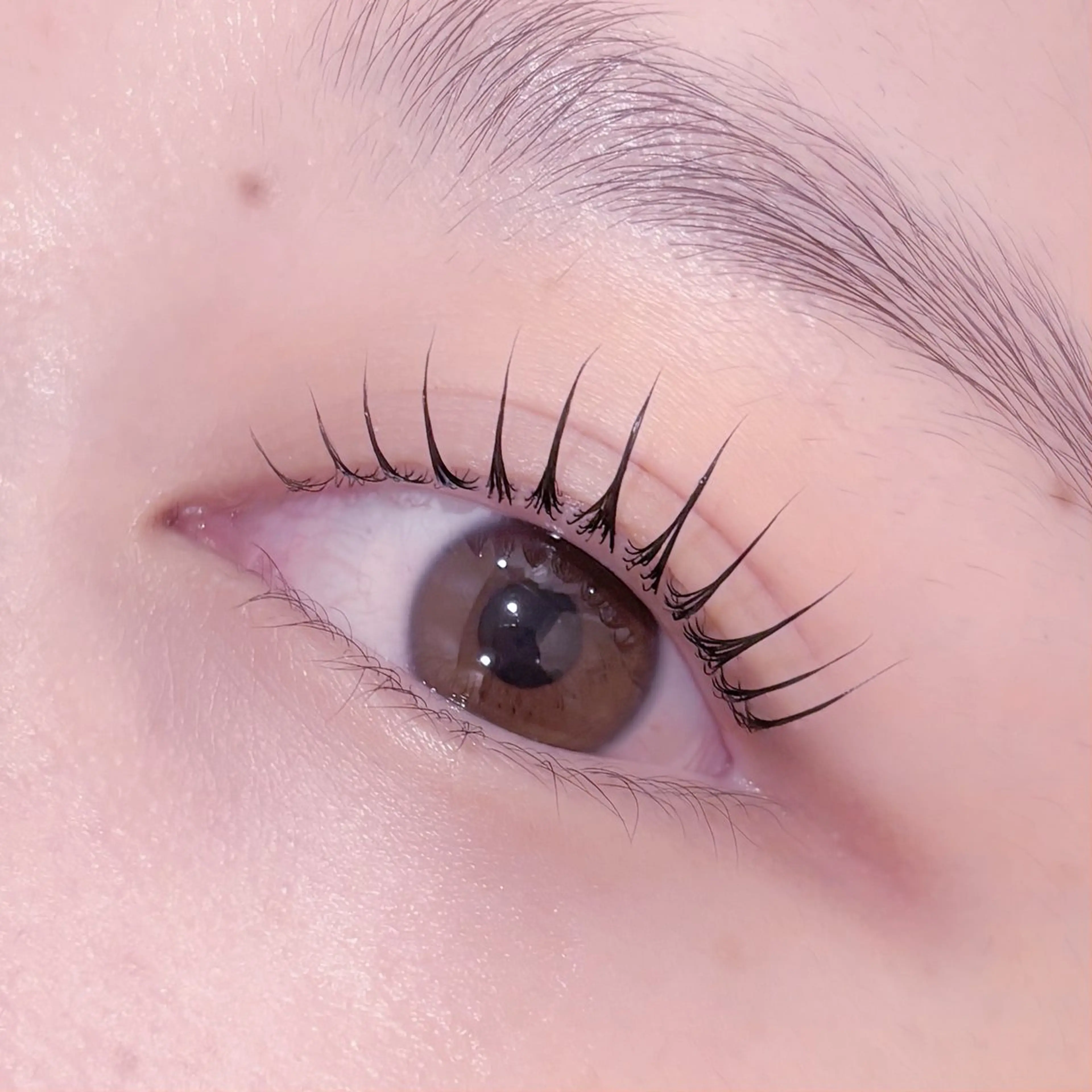 マツエク・マツパ マツパ pono大宮東口店 店長🩰AOHA🩰のマツエク・マツパデザイン