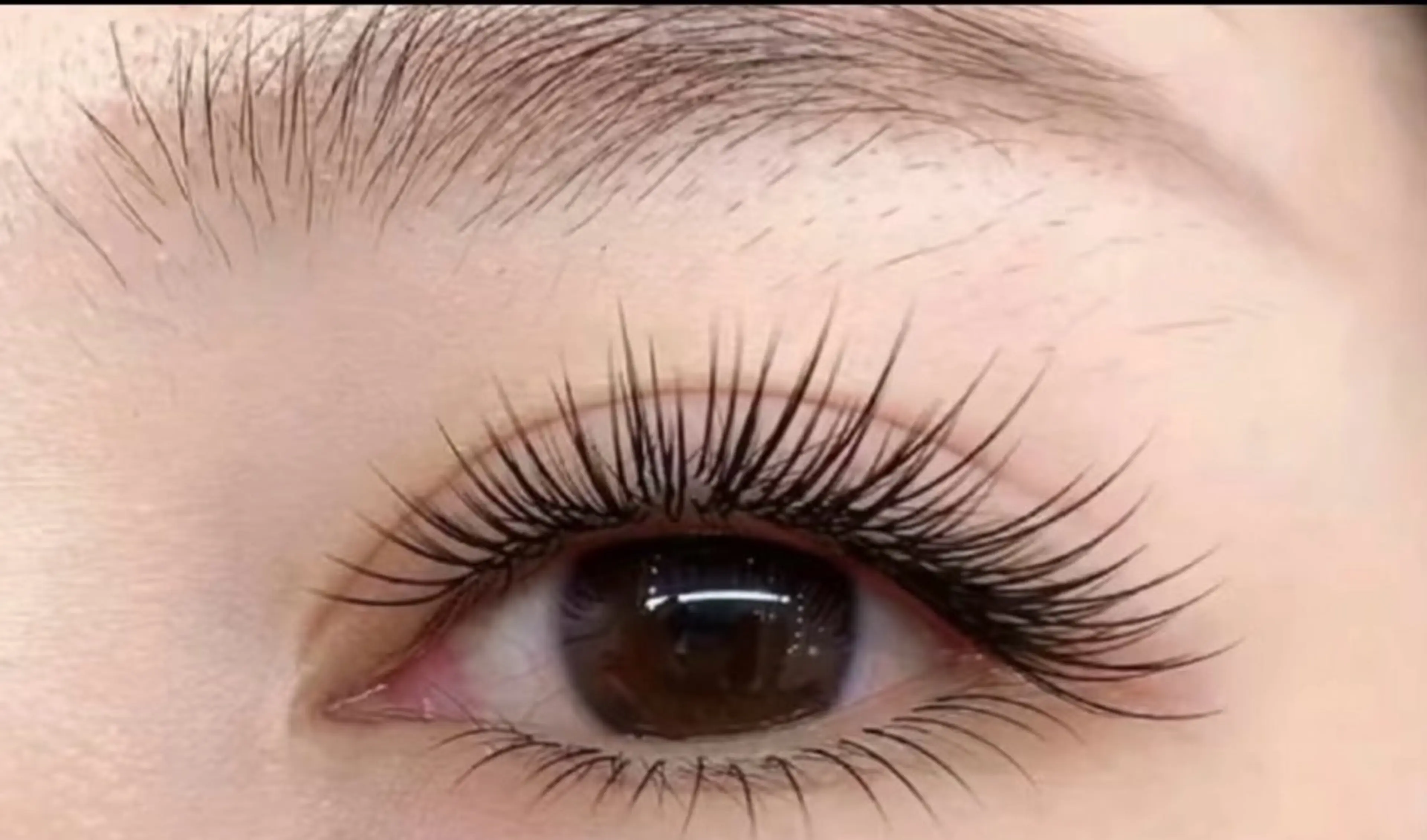 フッラトラッシュ140本🍀オフ無料の写真