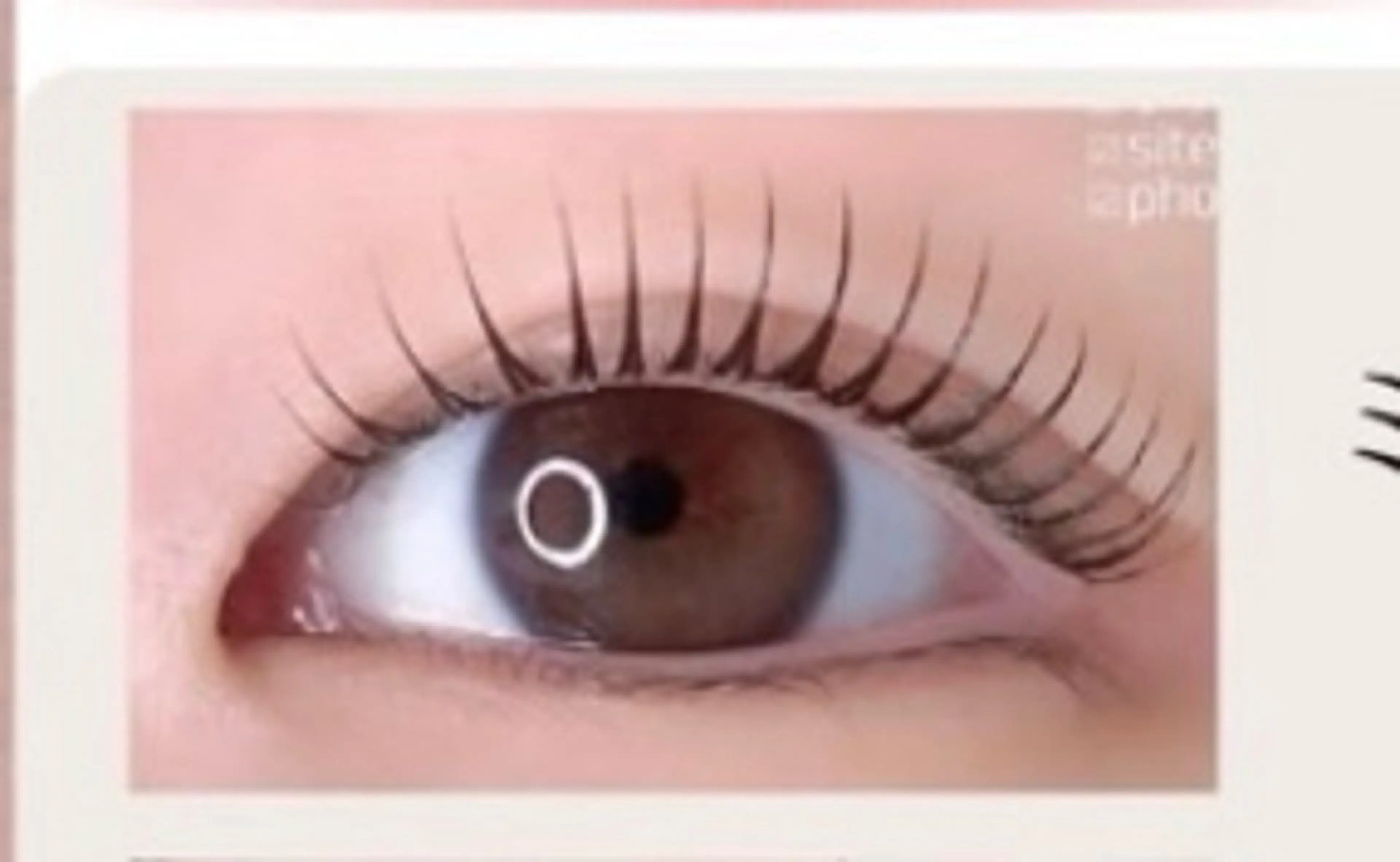 【まつ毛パーマ💫立ち上げ✖️Ｃカール】ミミドール¥の写真