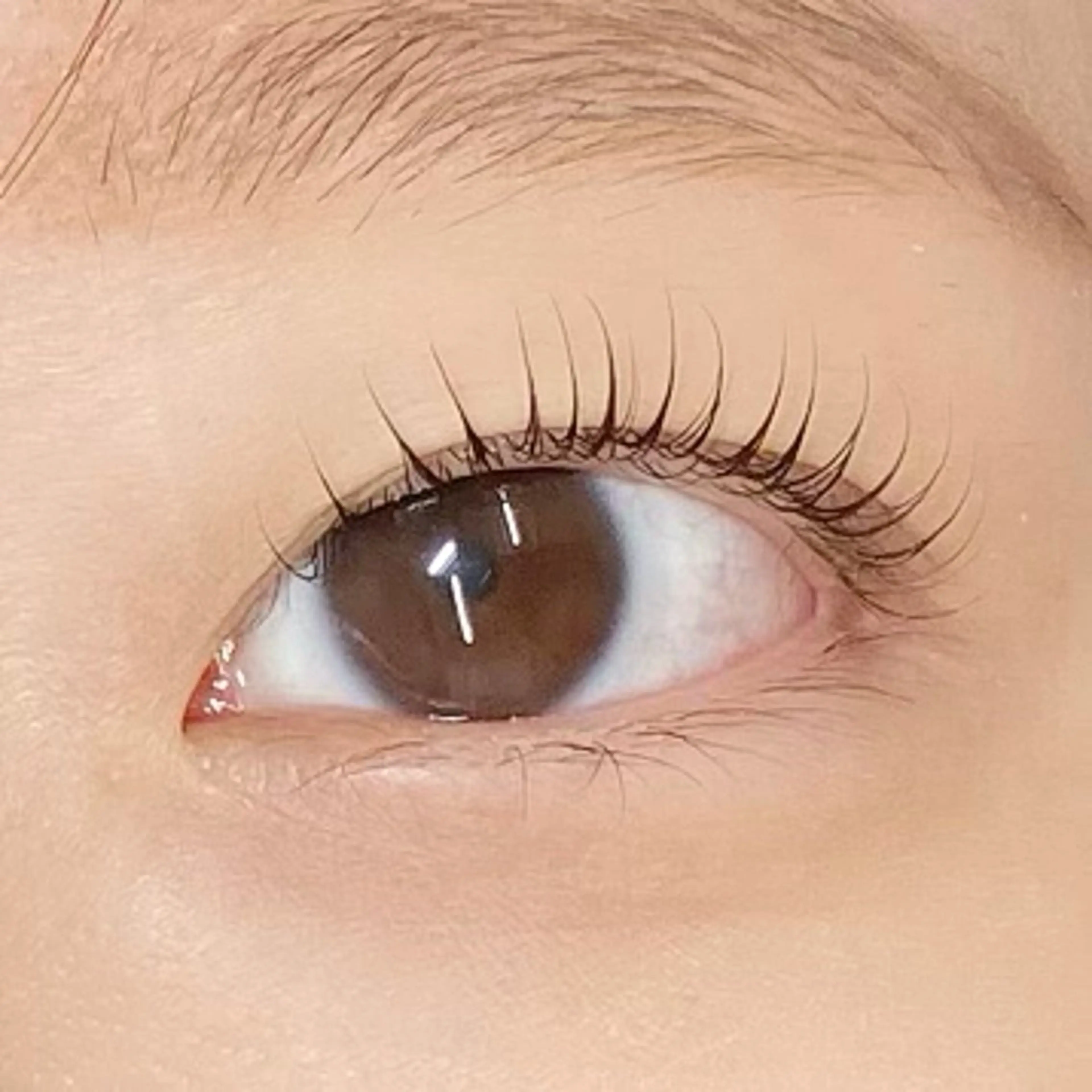 マツエク・マツパ まつげと眉毛のお店Sakura Lash【サクララッシュ】所属・【ダメージケア特化】 🌸 サクララッシュの眉毛・アイブロウイメージ