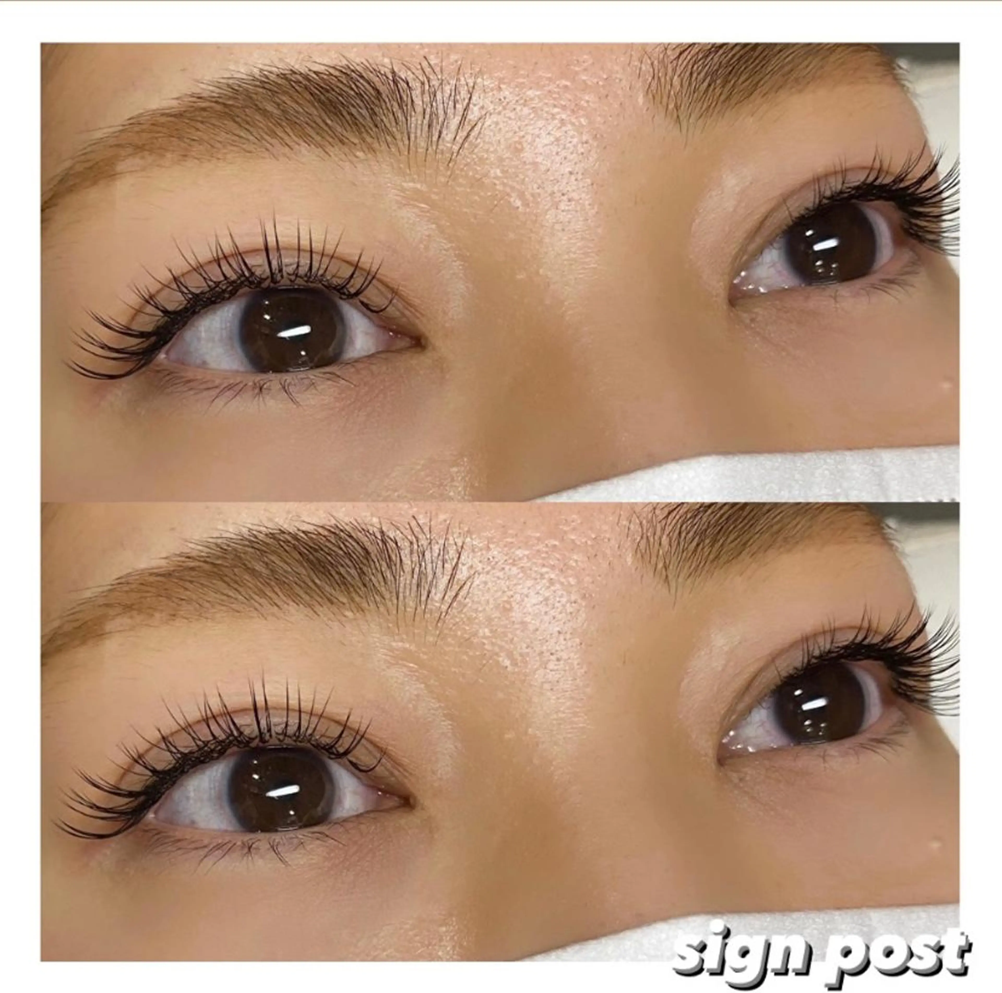 マツエク・マツパ signpost 田村の眉毛・アイブロウイメージ