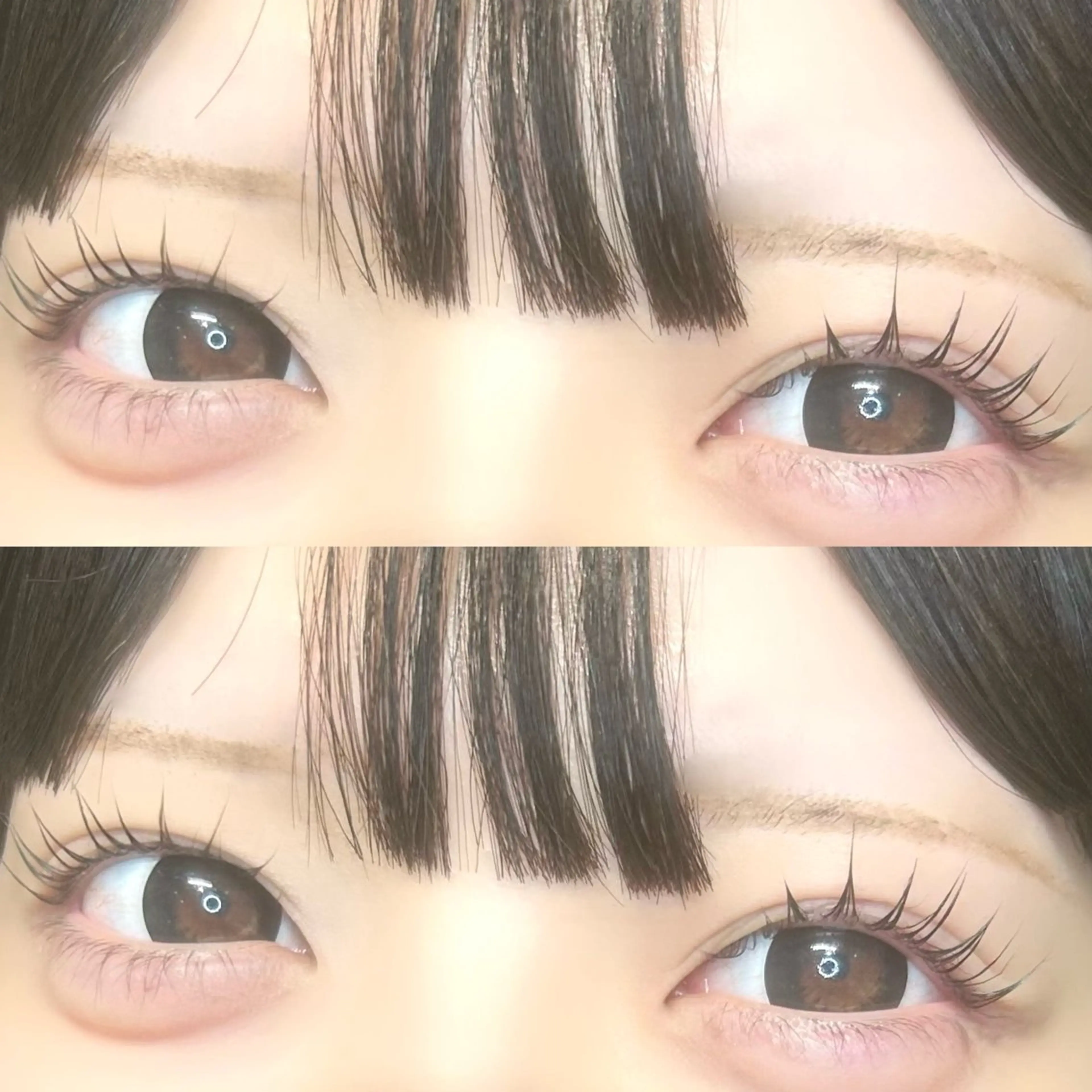 ‼️ミニモ限定価格‼️Miro by king心斎橋店💕🫧上下スタンダードまつ毛パーマ💕🫧コーティング仕上げ付の写真