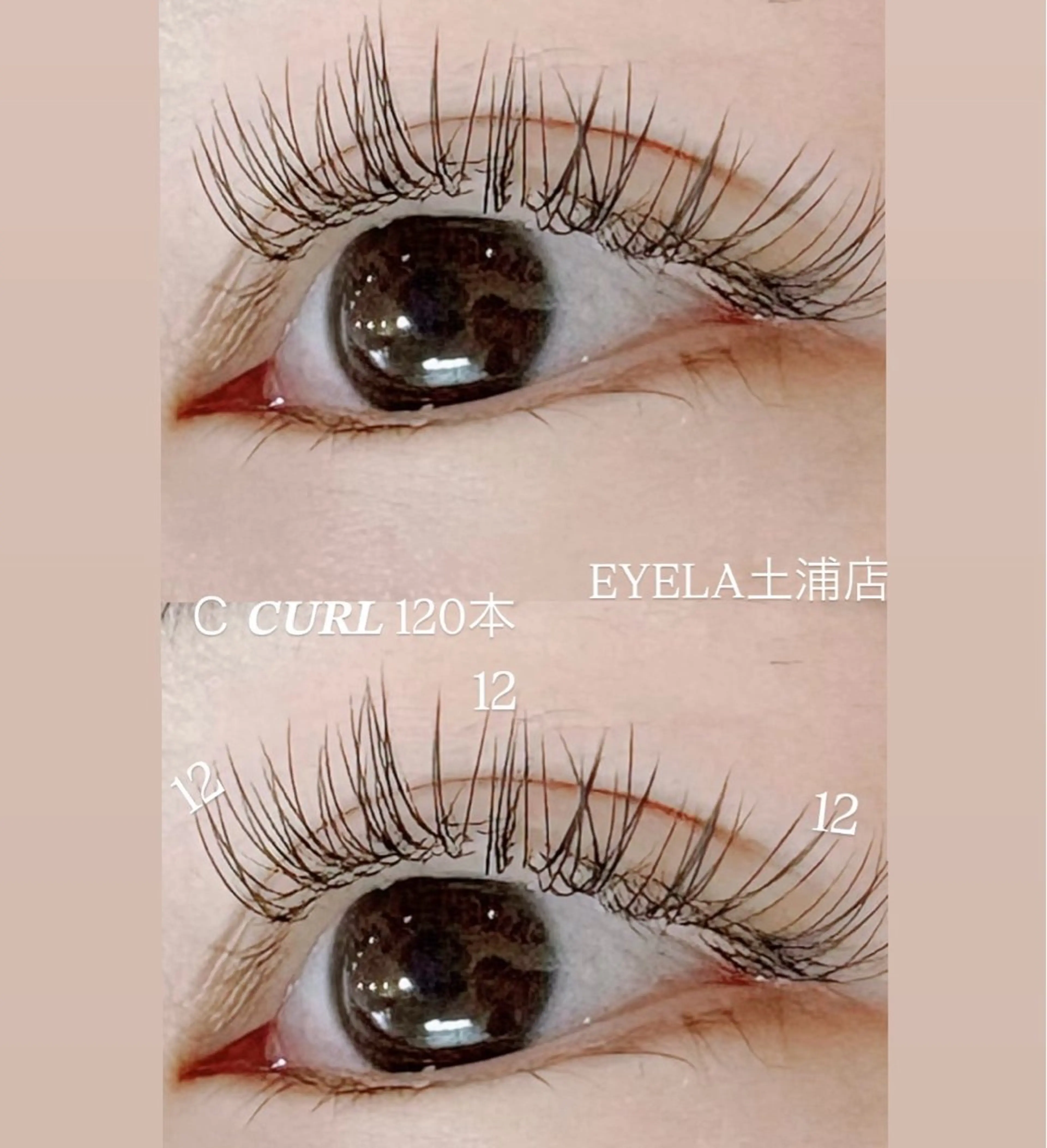 マツエク・マツパ Cカール フラットラッシュ ナチュラル EYELA 土浦店 幕内のマツエク・マツパデザイン