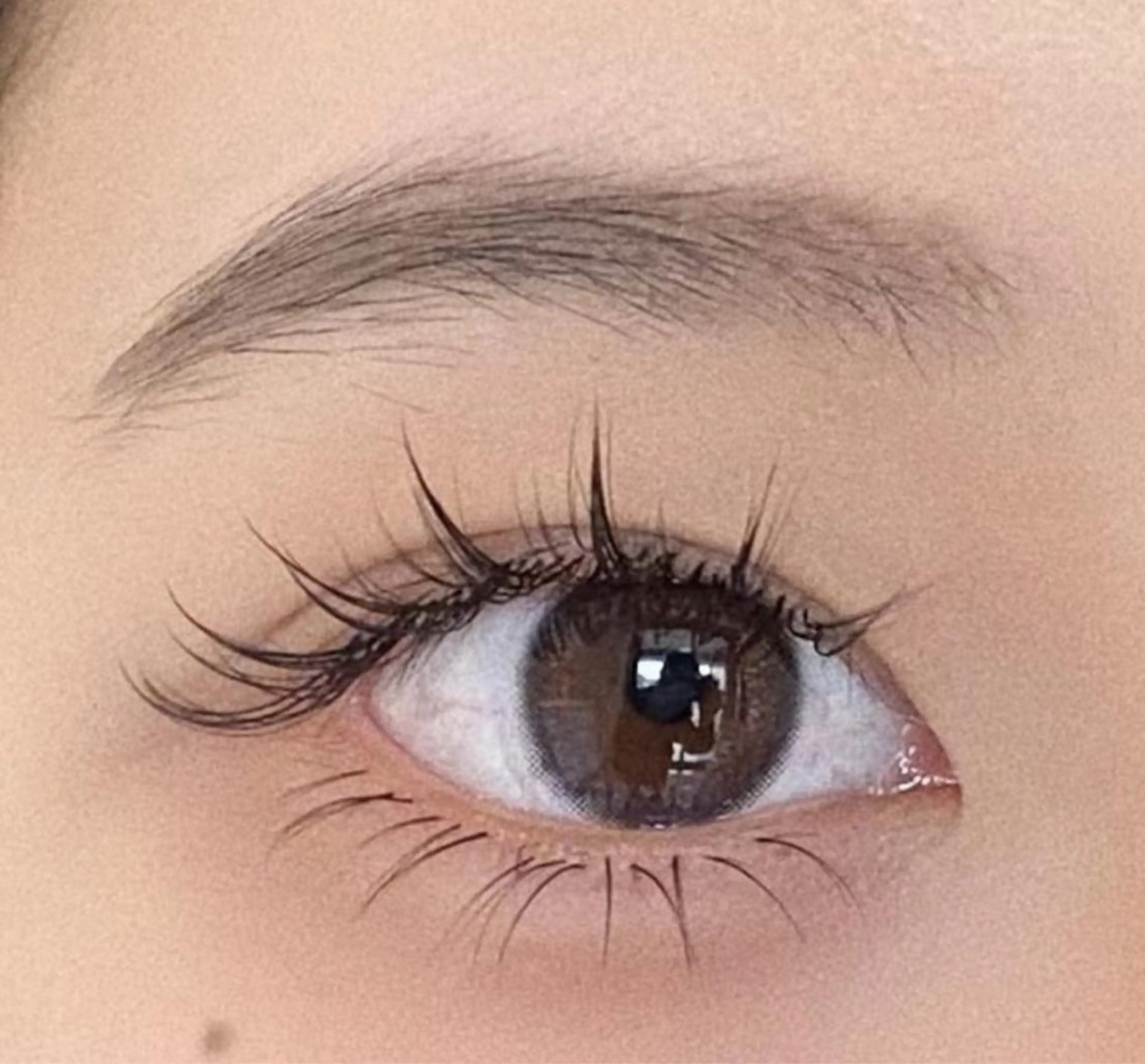 🎀オフ無料.💕フラットラッシュ100本  アイパック+美容液コーティング付き ¥3500の写真