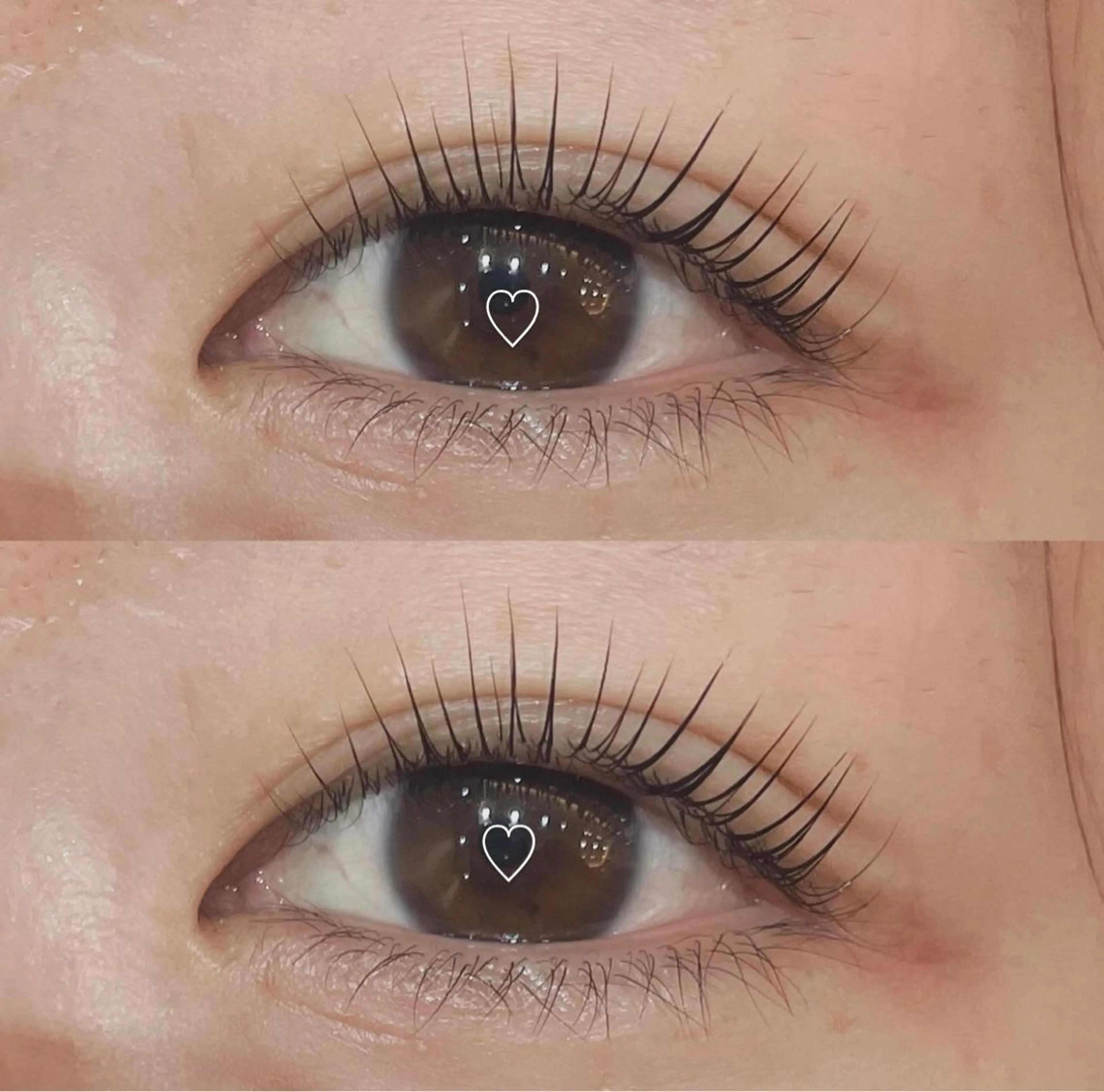 人気No.1♥️パリジェンヌラッシュリフト♡内部補修トリートメント付き♡の写真