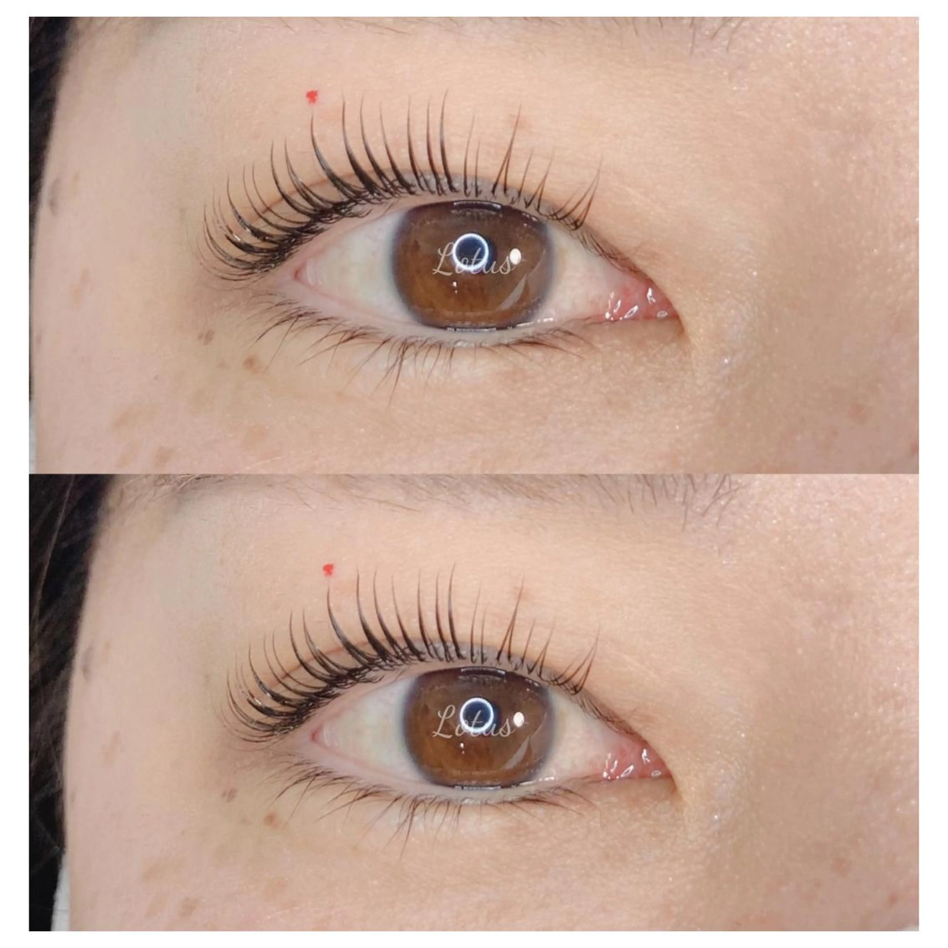 マツエク・マツパ マツパ Lotus所属・Lotus ロータスのマツエク・マツパデザイン