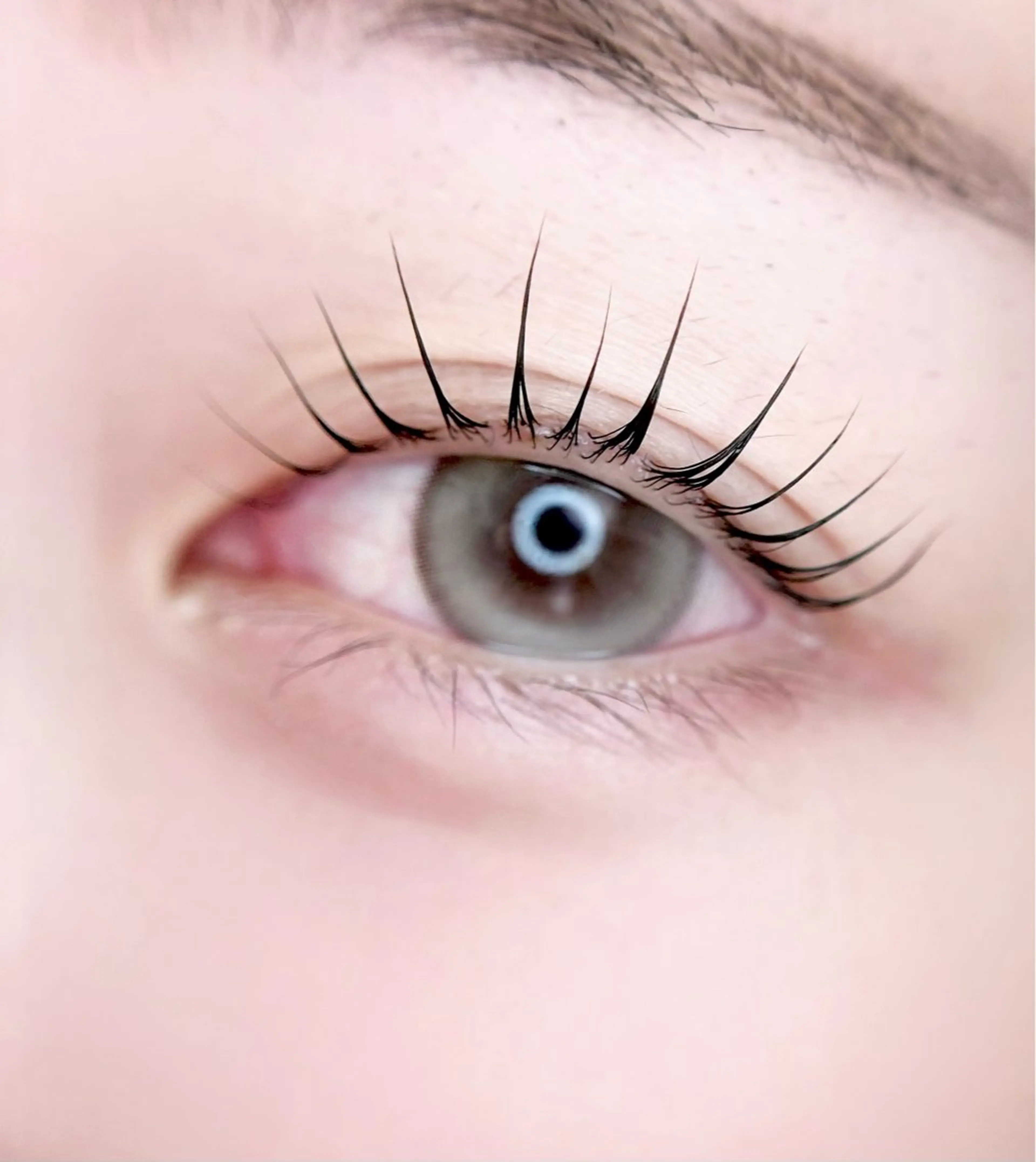 マツエク・マツパ パリジェンヌラッシュリフト eyelist. mizuki🐈‍⬛のマツエク・マツパデザイン