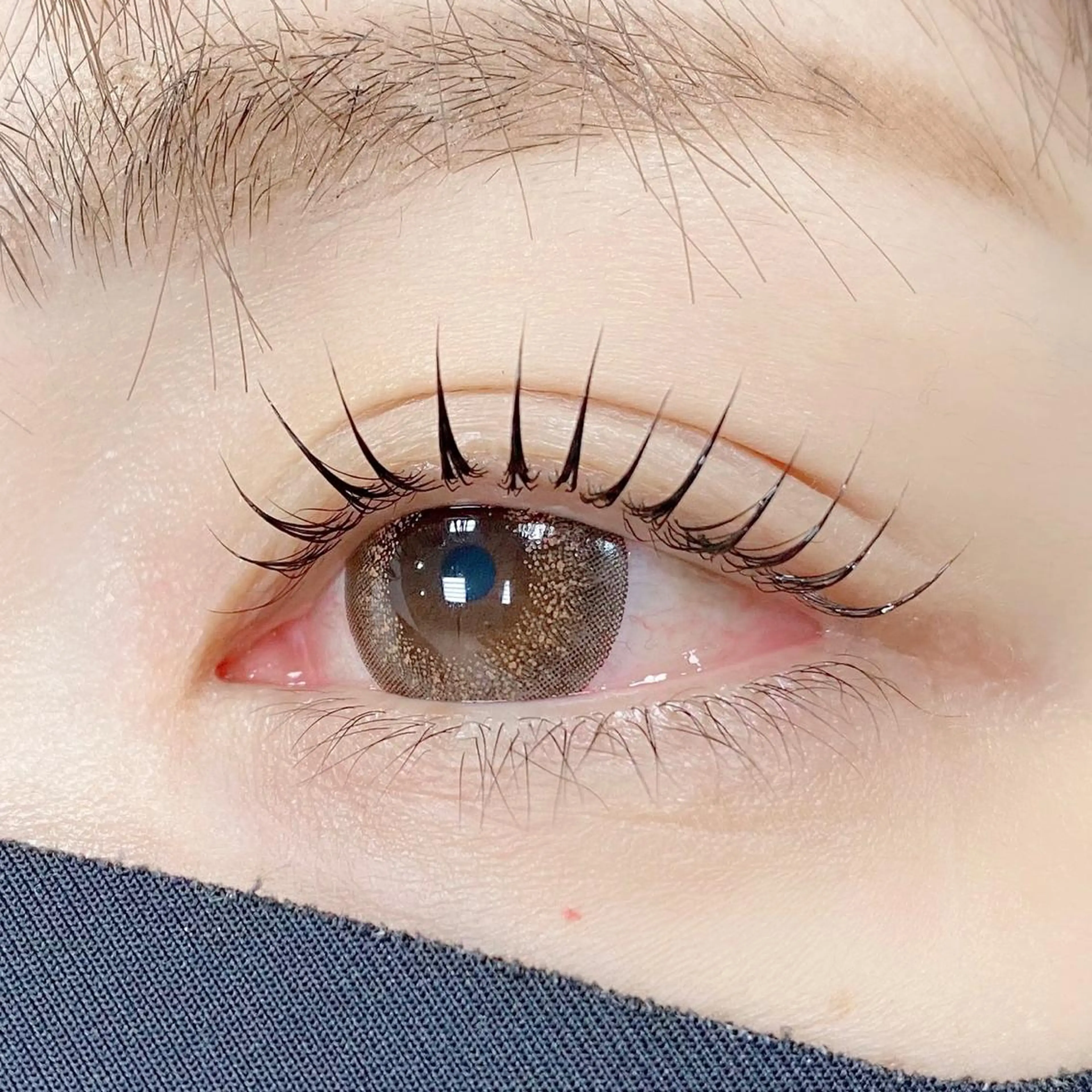 💎【平日限定】まつ毛パーマ/パリジェンヌ/コーティング付きの写真