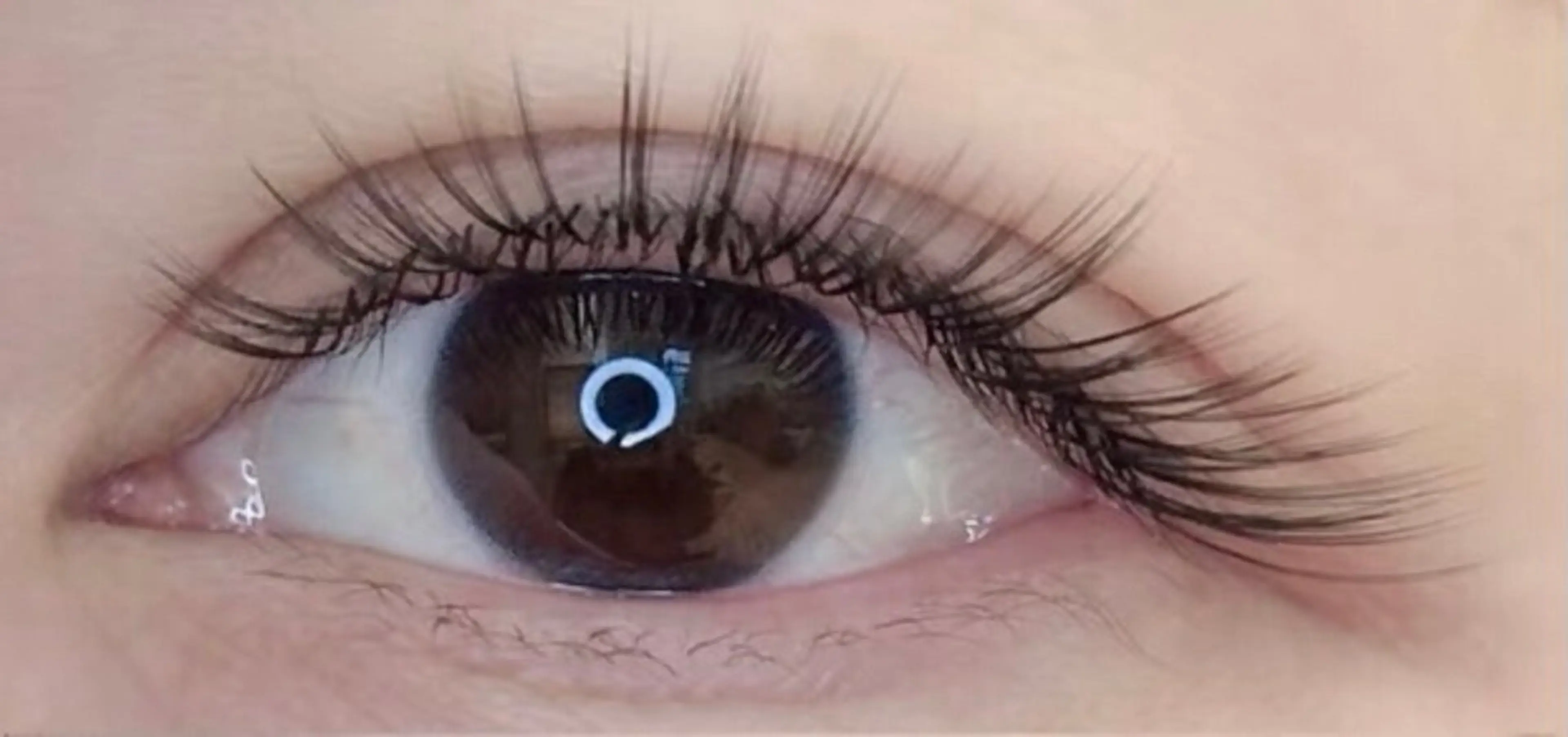 極細フラットラッシュ80束 【新規/2回目】¥4850 3回以降➕800円の写真